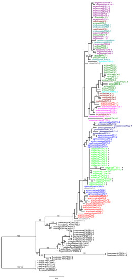Plants 09 01798 g0a1