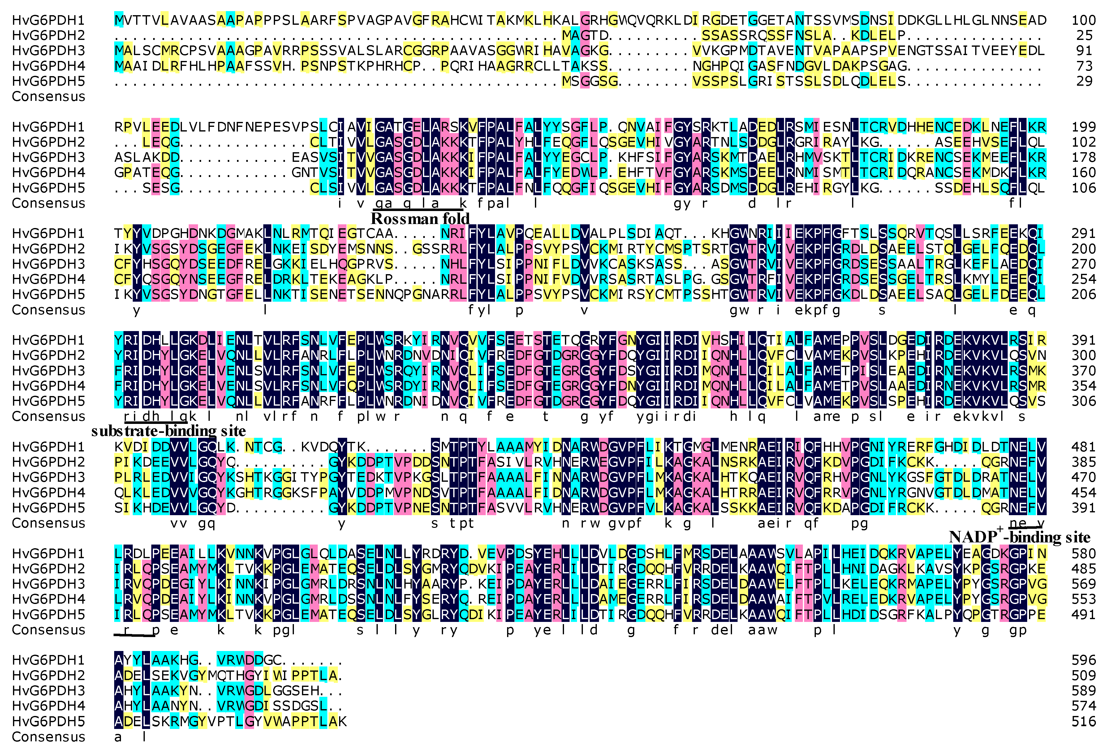 Plants 09 01800 g001