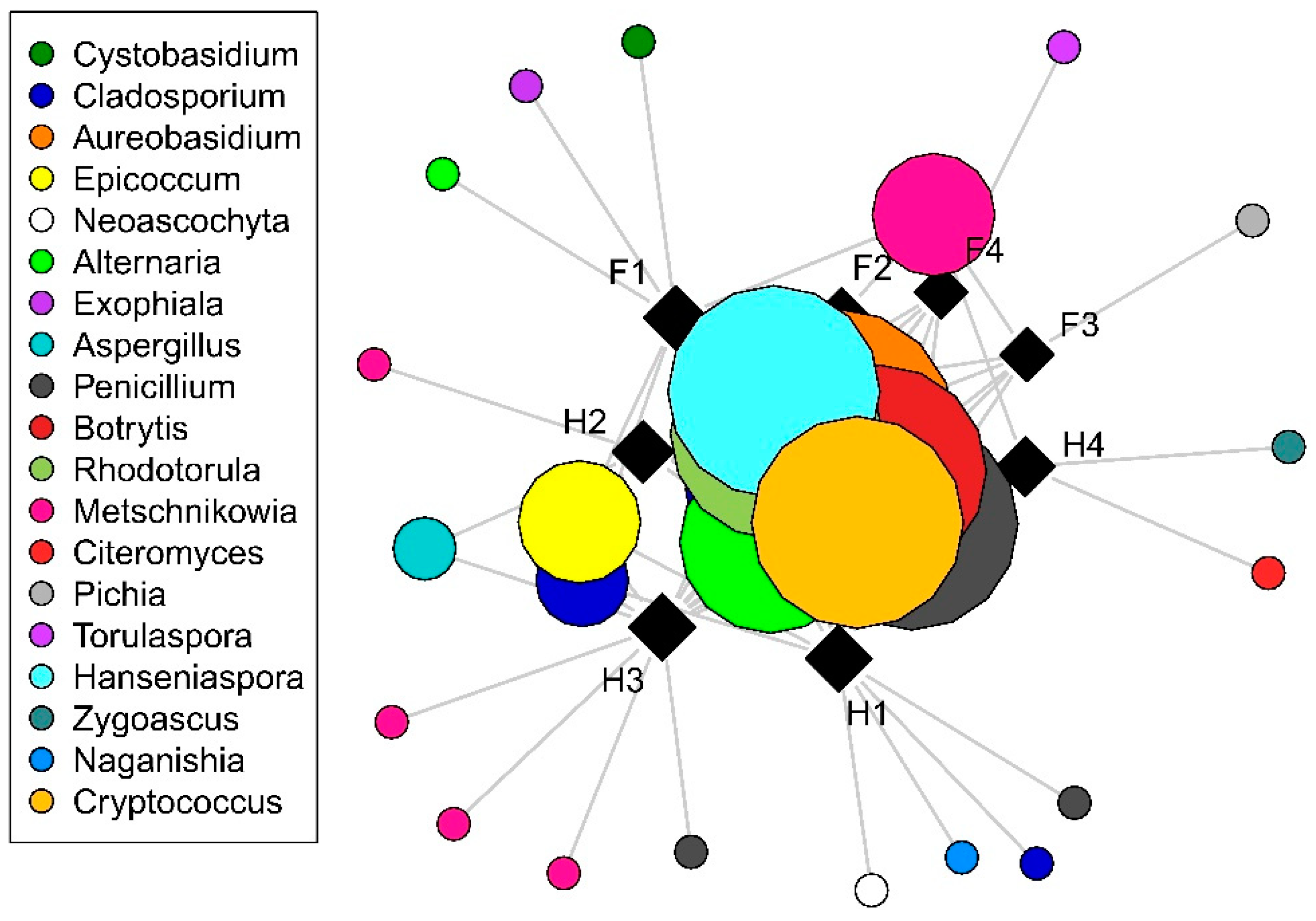 Plants 09 01809 g002 Plants 09 01809 g002