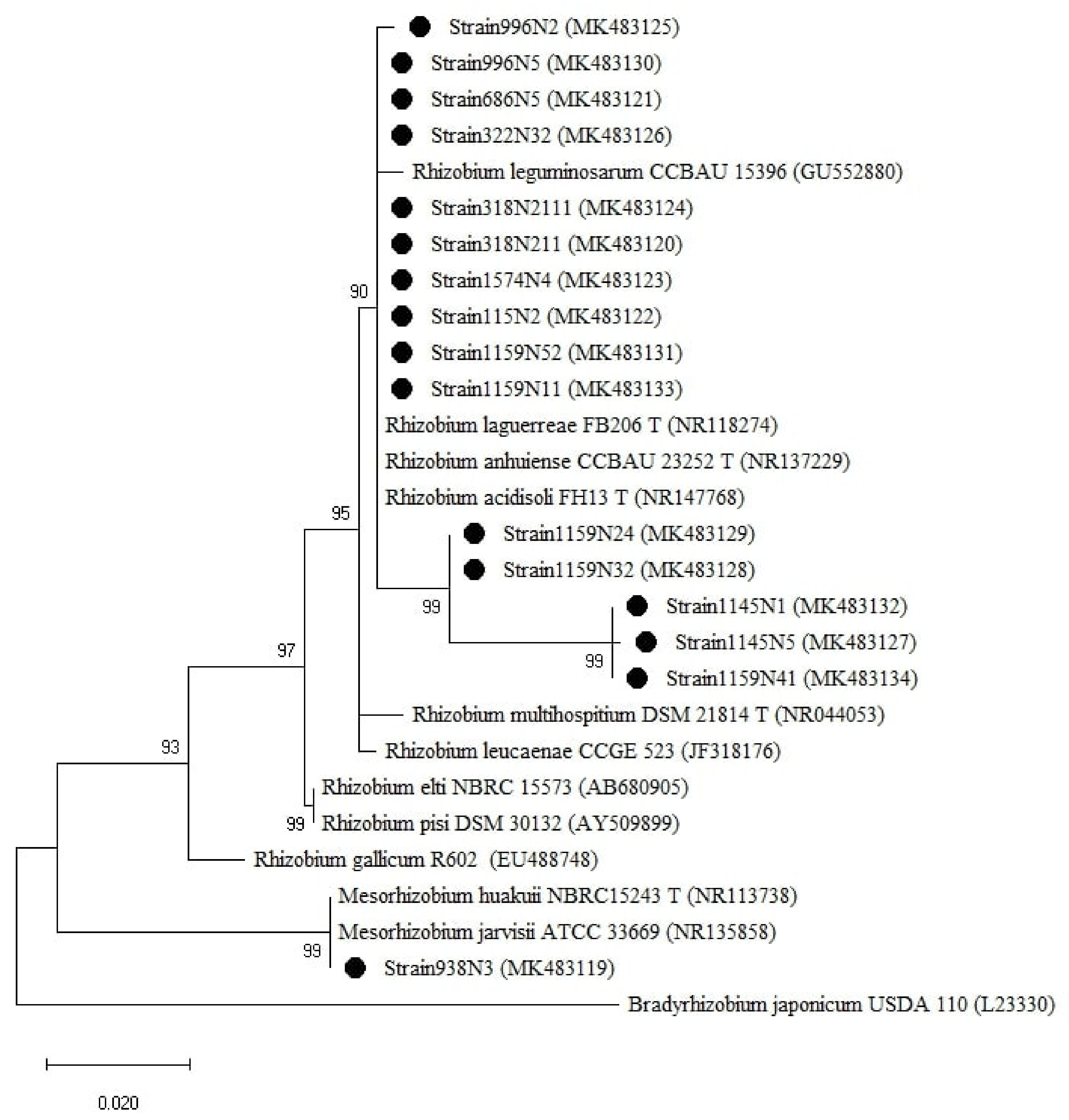 Plants 10 00015 g005 Plants 10 00015 g005