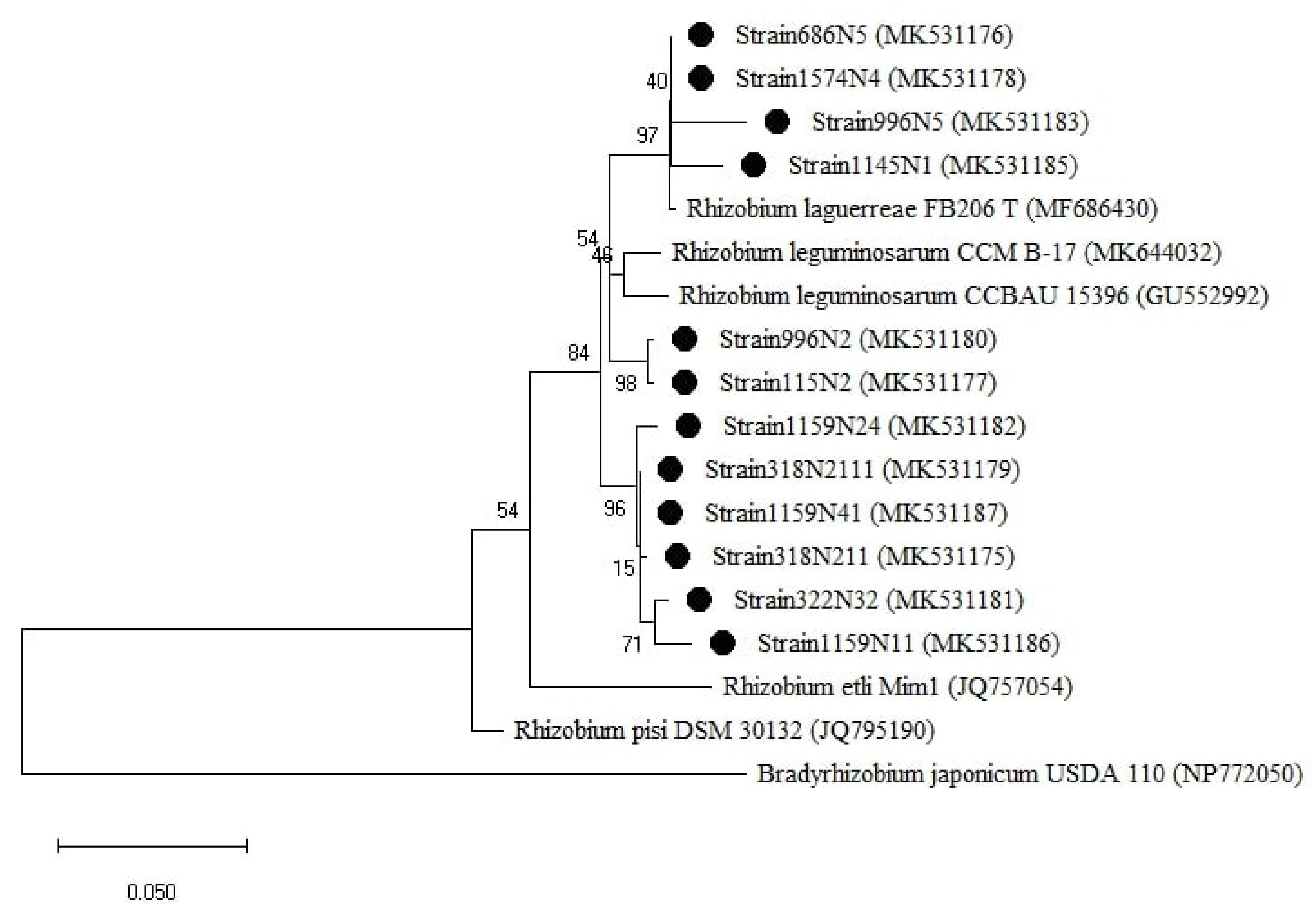Plants 10 00015 g006 Plants 10 00015 g006