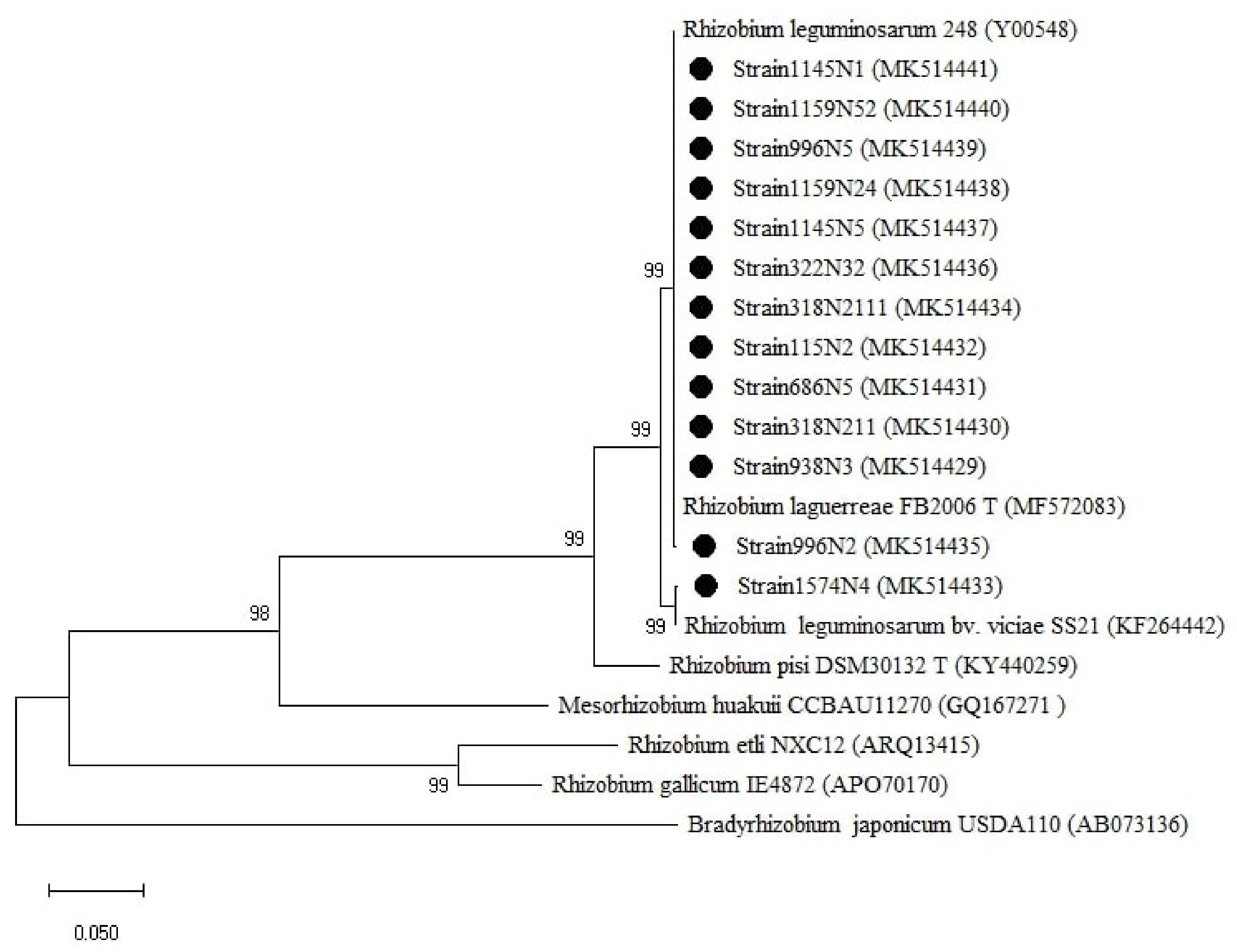 Plants 10 00015 g007 Plants 10 00015 g007