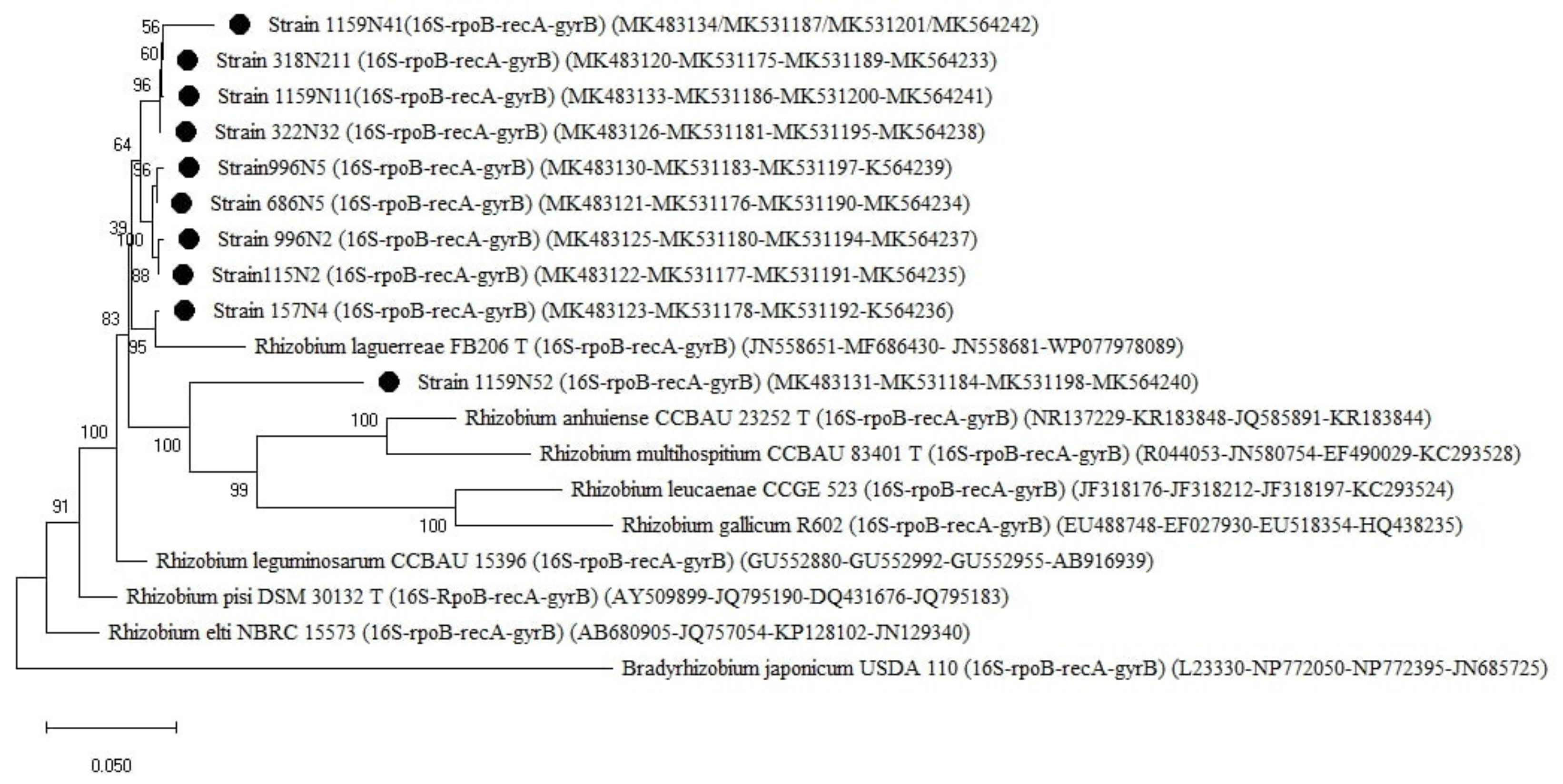 Plants 10 00015 g008 Plants 10 00015 g008