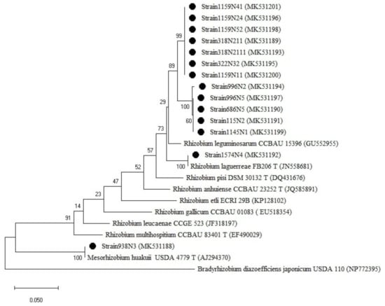 Plants 10 00015 g0a1