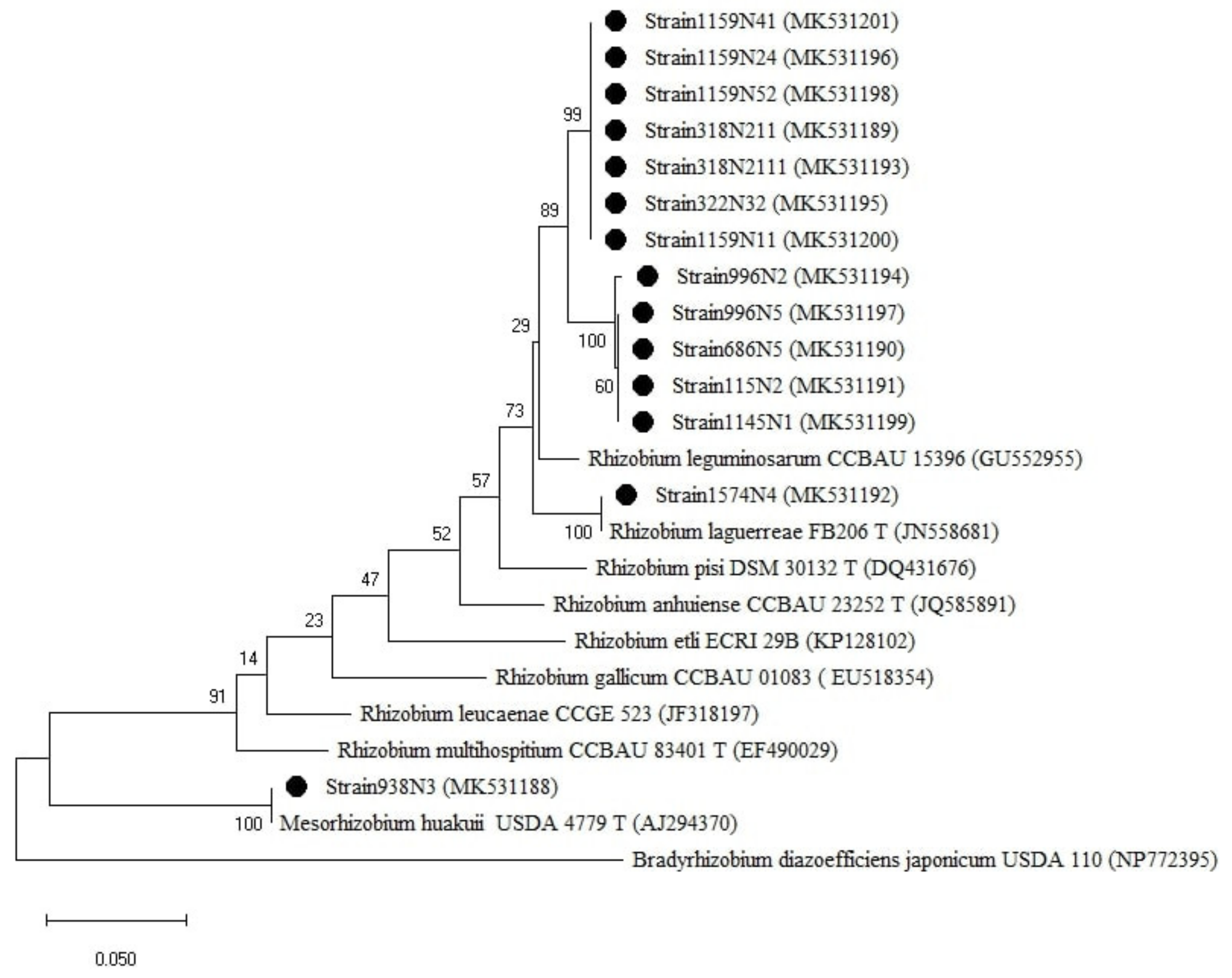 Plants 10 00015 g0a1 Plants 10 00015 g0a1