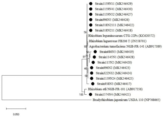 Plants 10 00015 g0a3