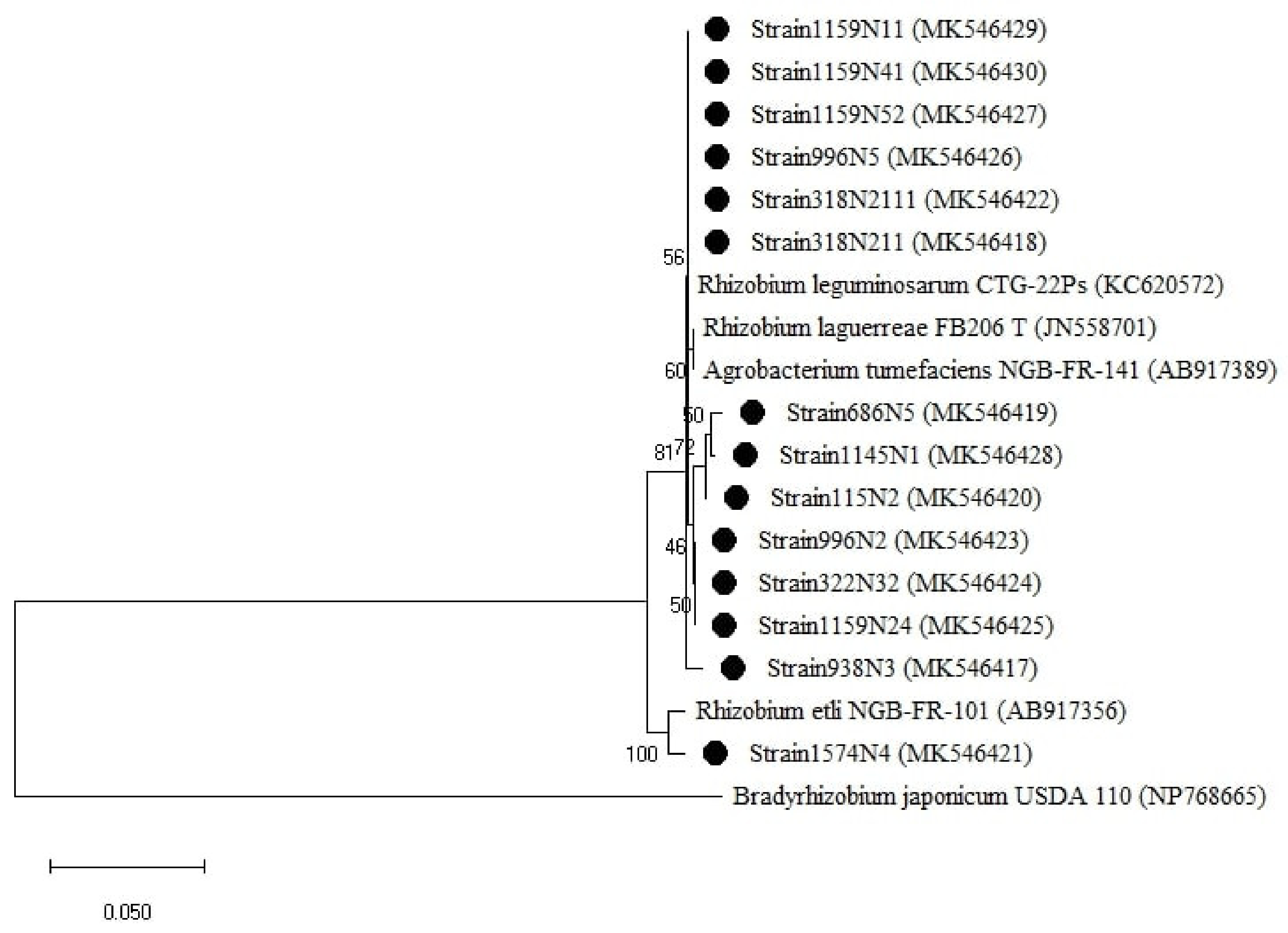Plants 10 00015 g0a3 Plants 10 00015 g0a3