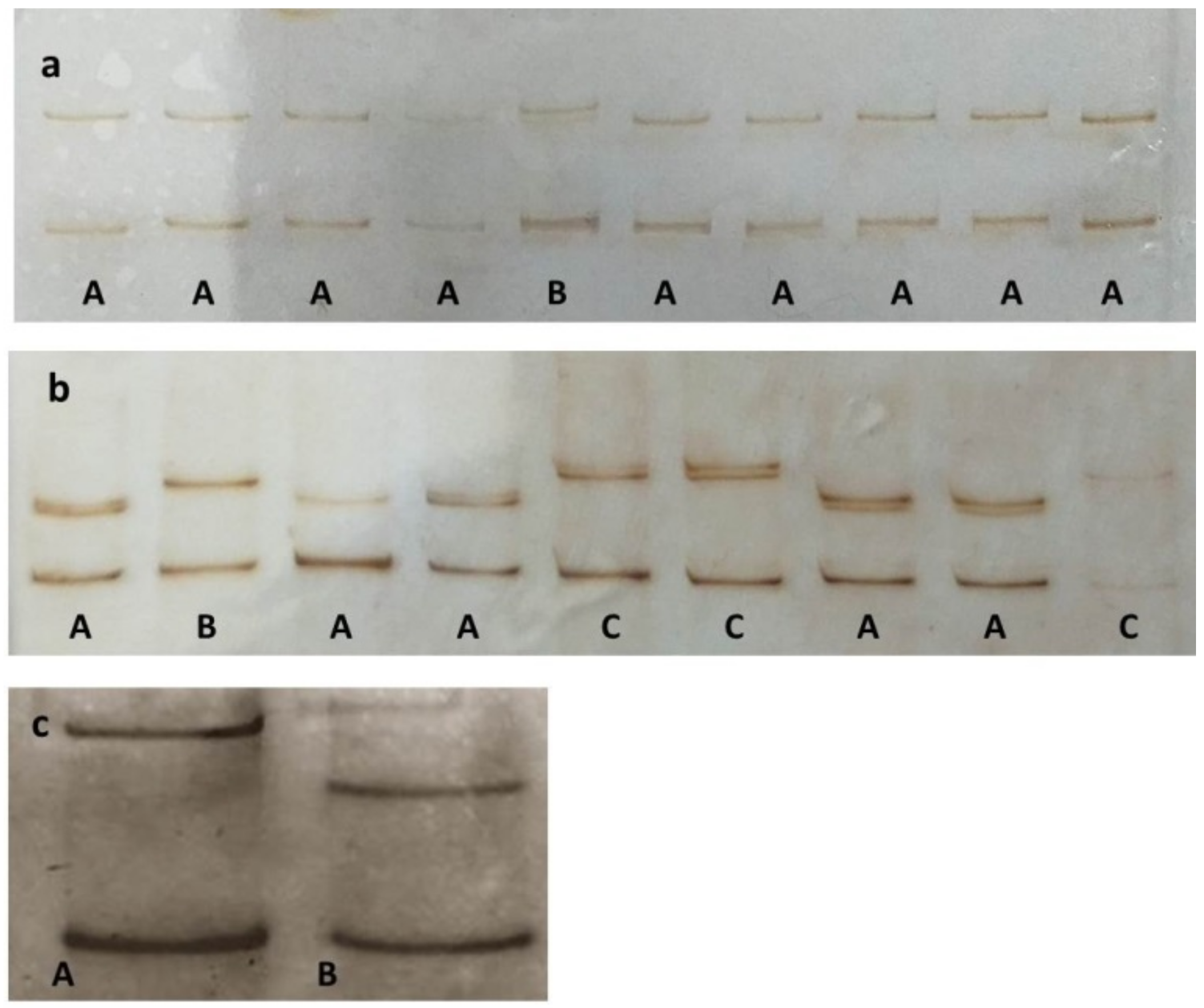 Plants 10 00017 g005