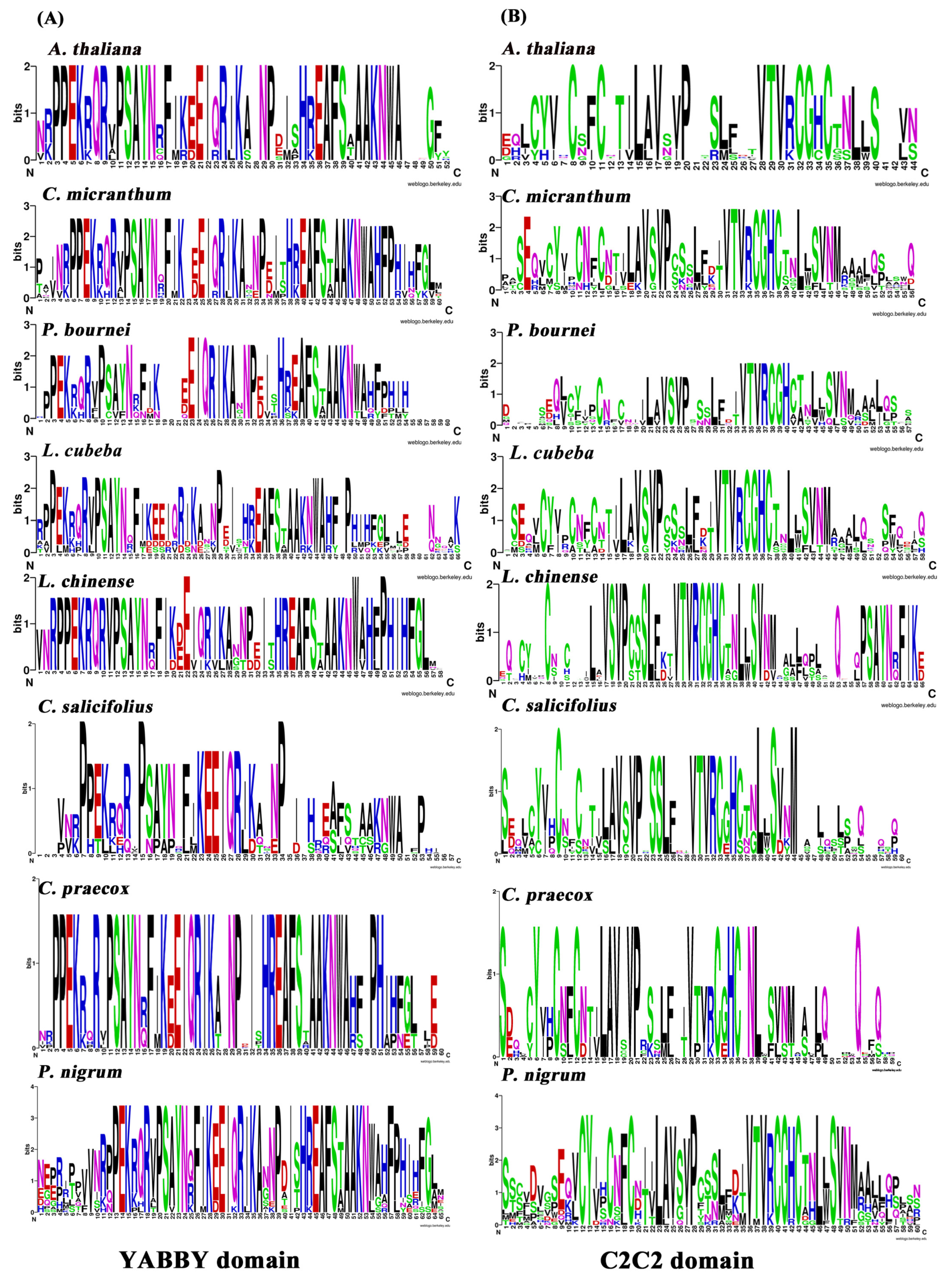 Plants 10 00021 g001 Plants 10 00021 g001