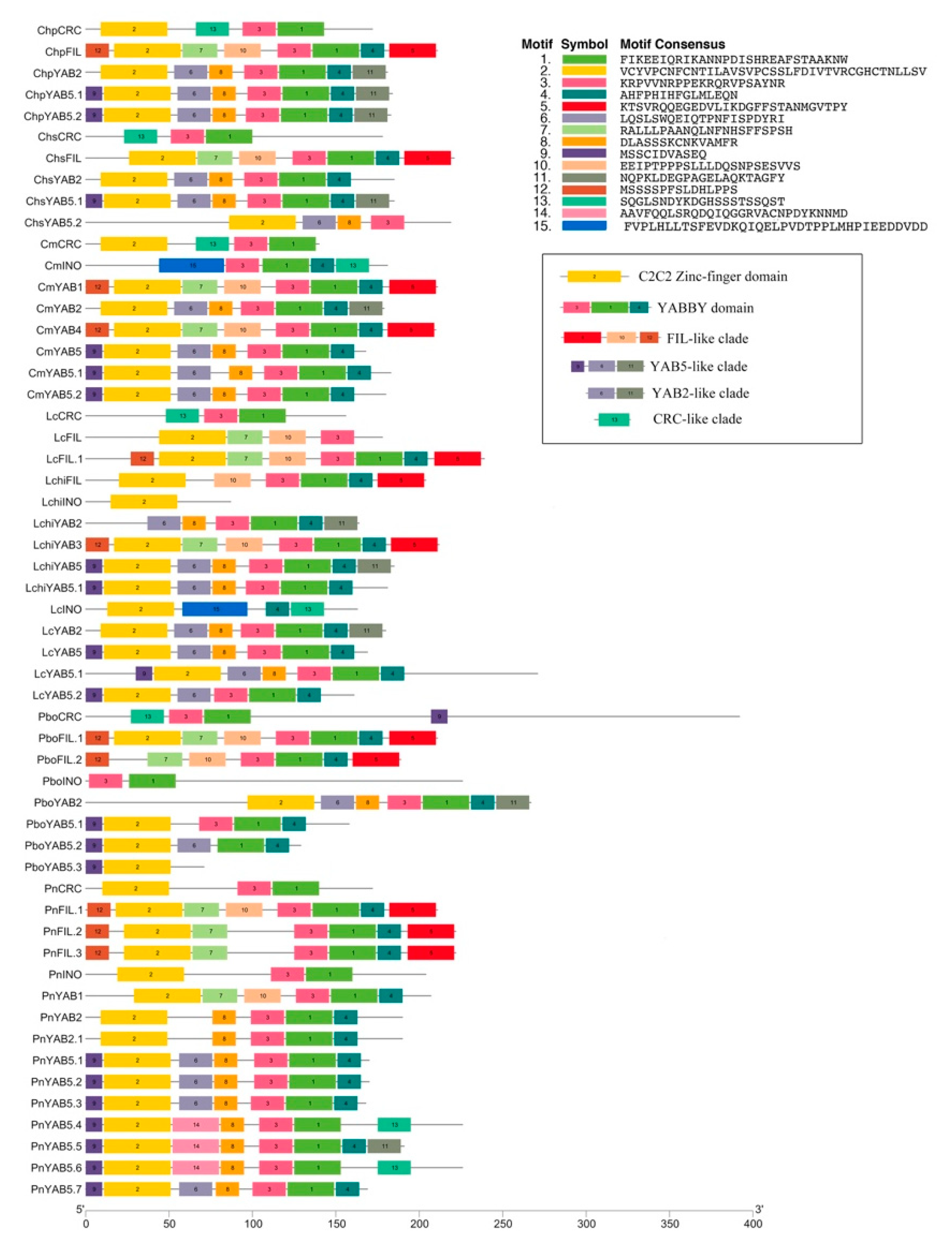 Plants 10 00021 g002 Plants 10 00021 g002