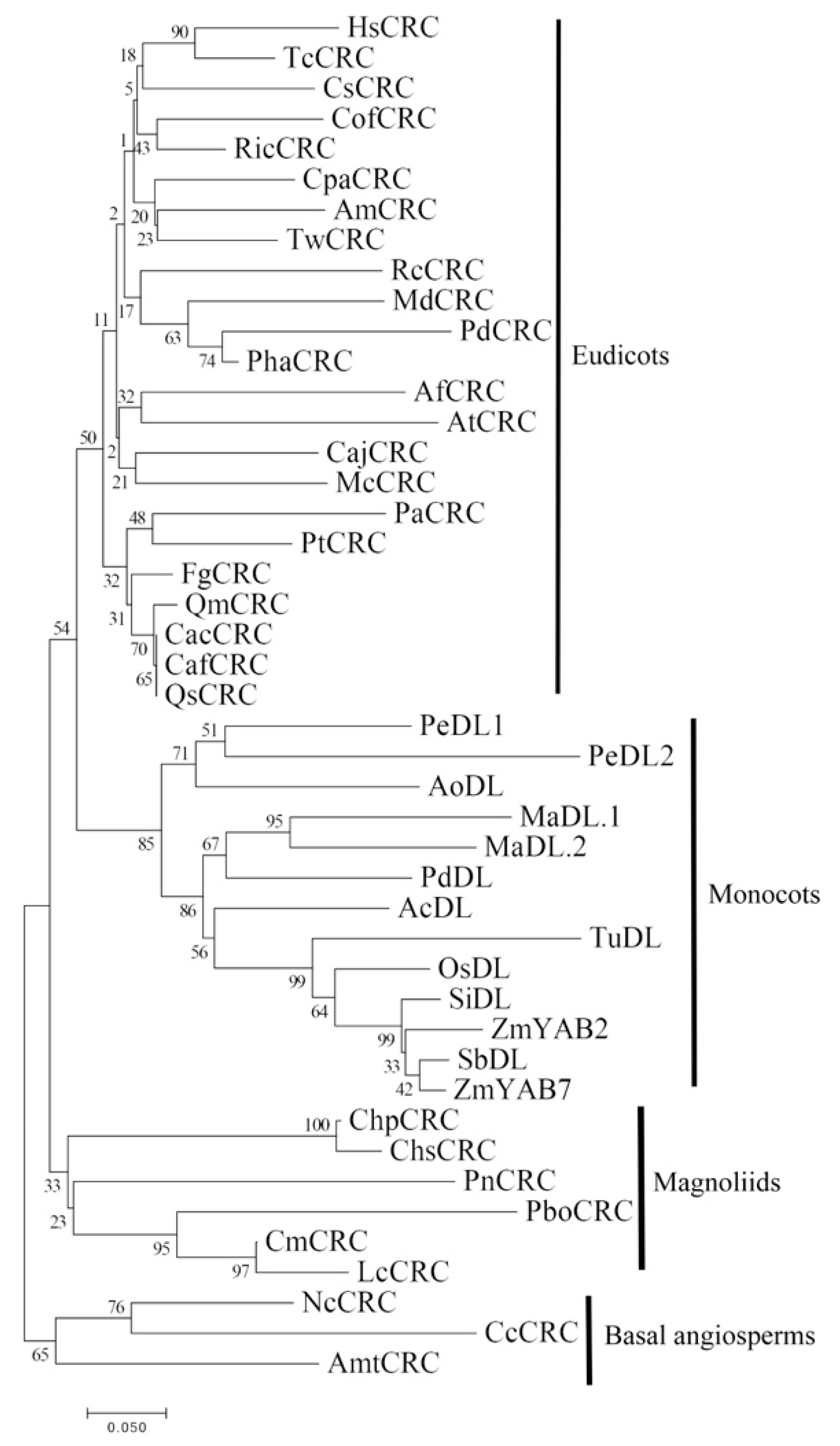 Plants 10 00021 g004 Plants 10 00021 g004
