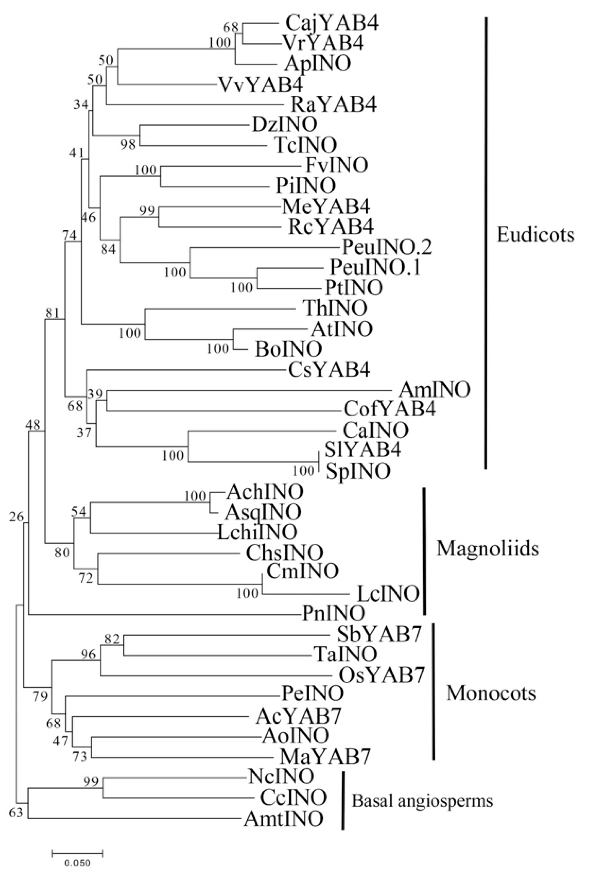 Plants 10 00021 g005 Plants 10 00021 g005