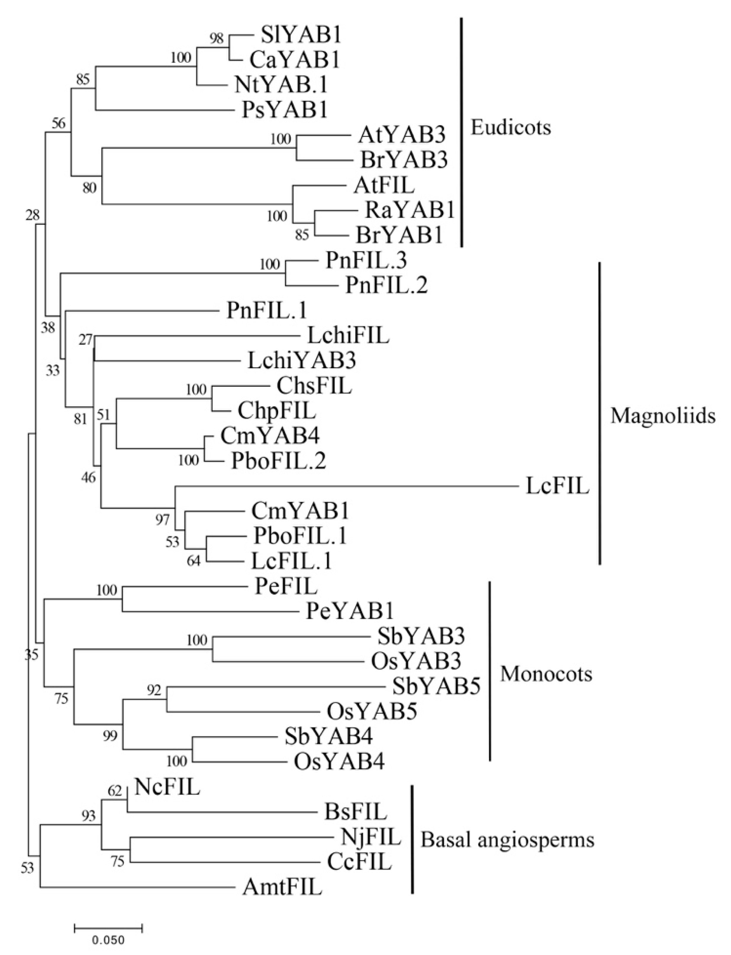 Plants 10 00021 g007 Plants 10 00021 g007
