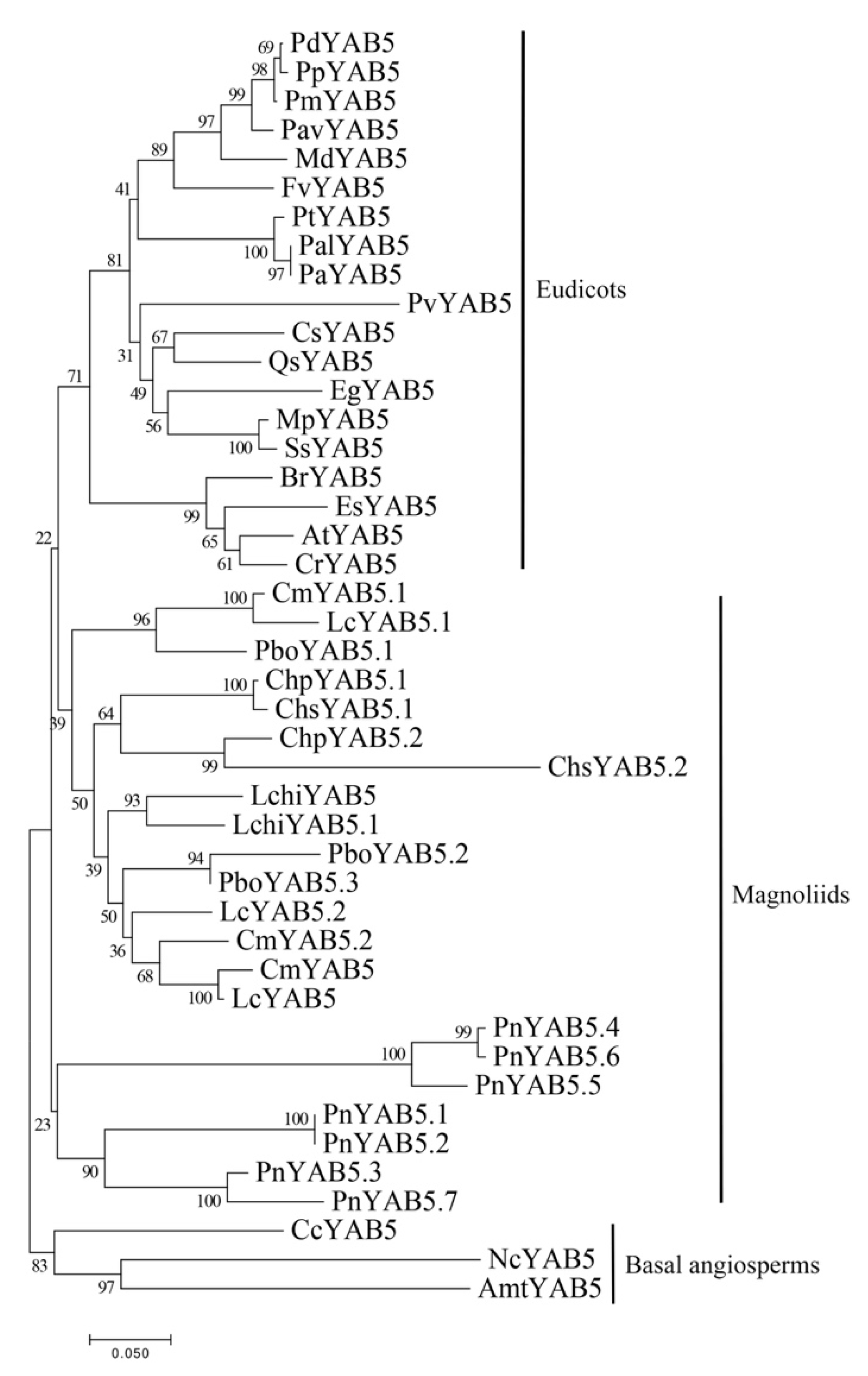 Plants 10 00021 g008 Plants 10 00021 g008
