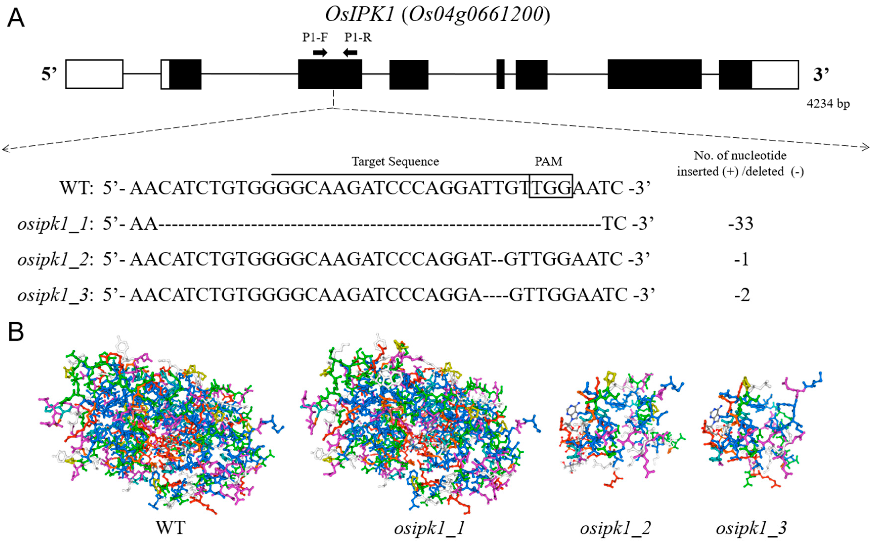Plants 10 00023 g001