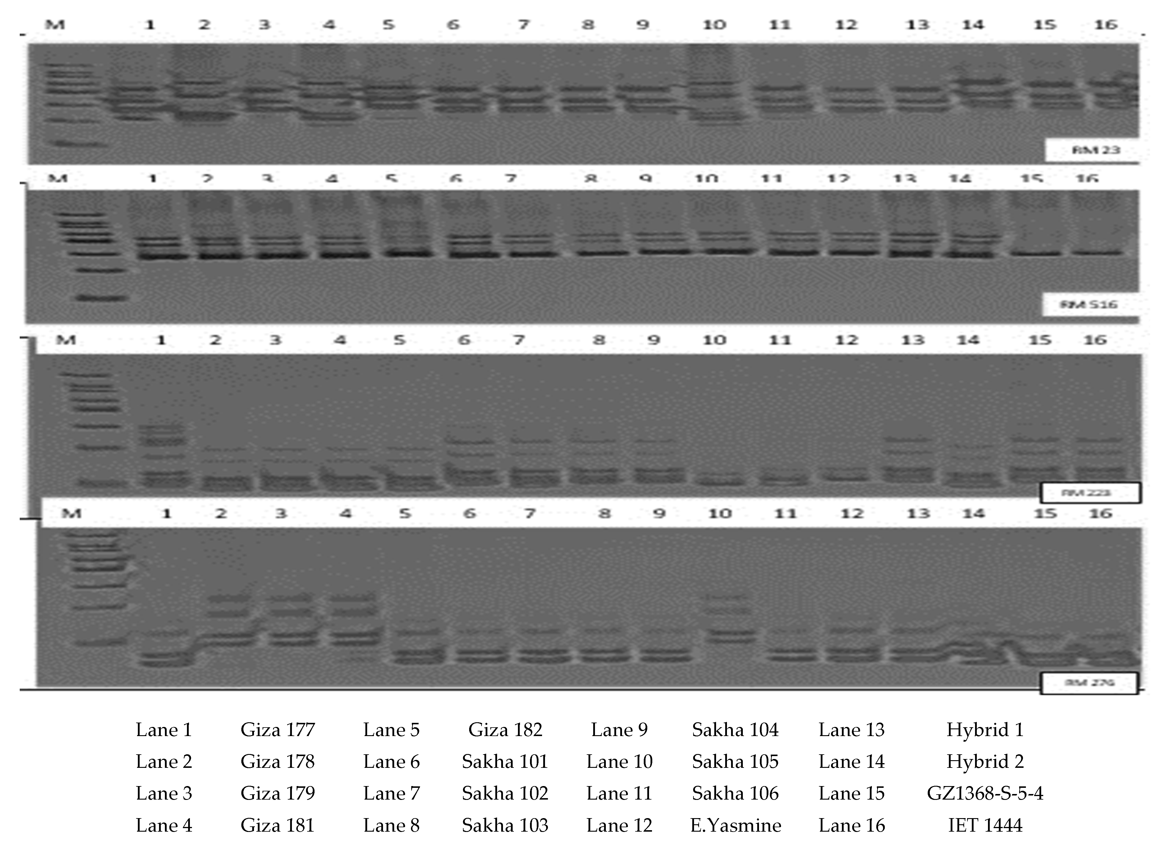 Plants 10 00027 g001