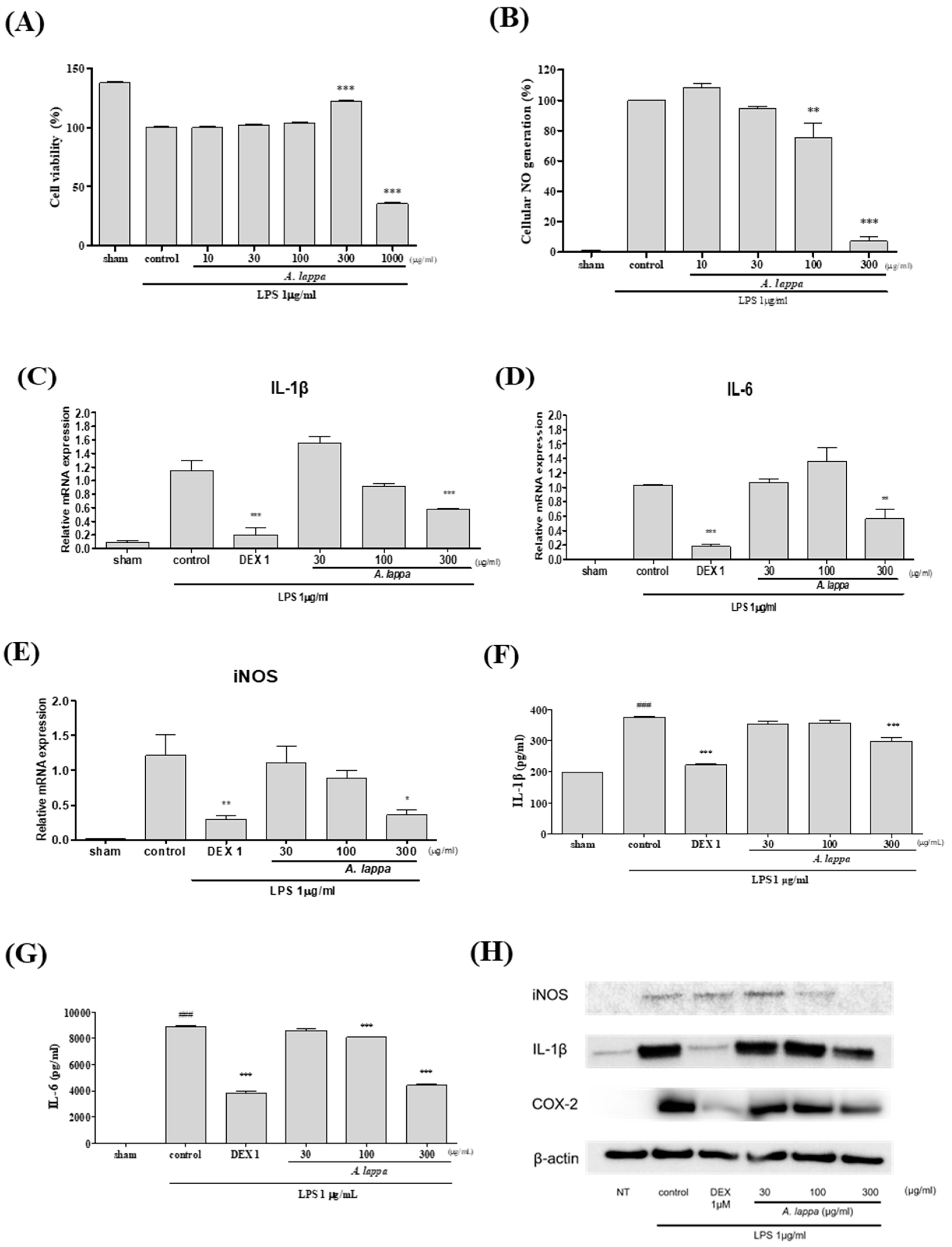 Plants 10 00042 g006