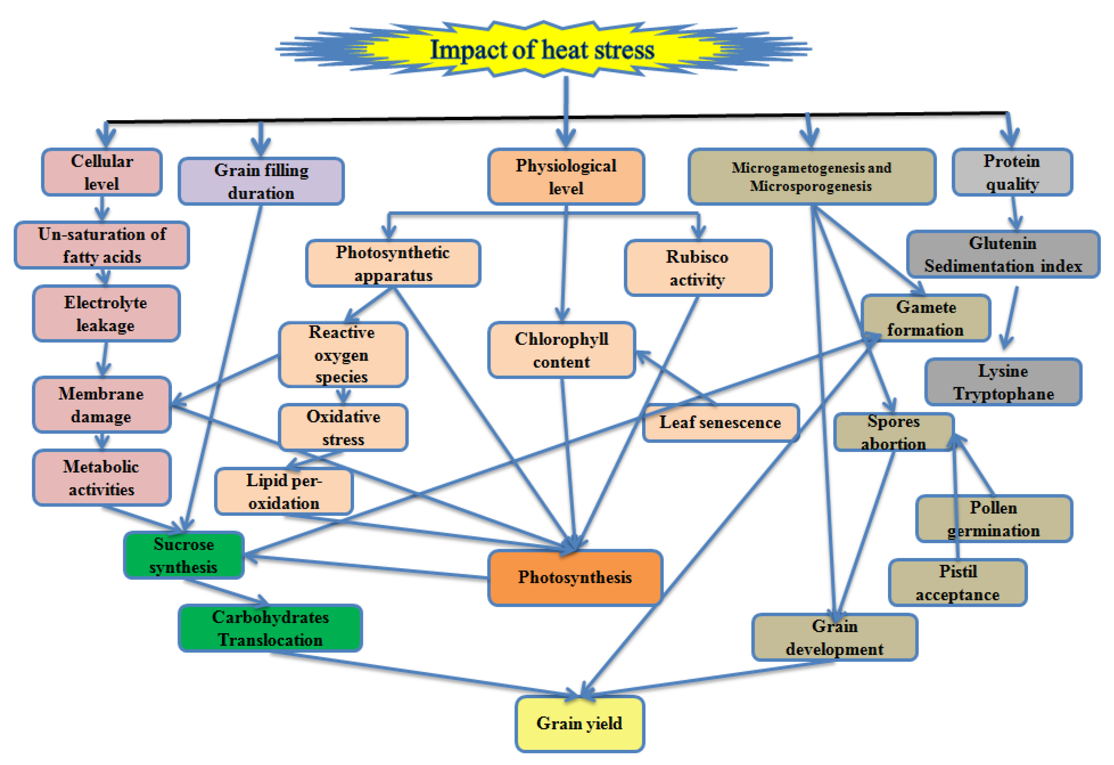 Plants 10 00043 g001