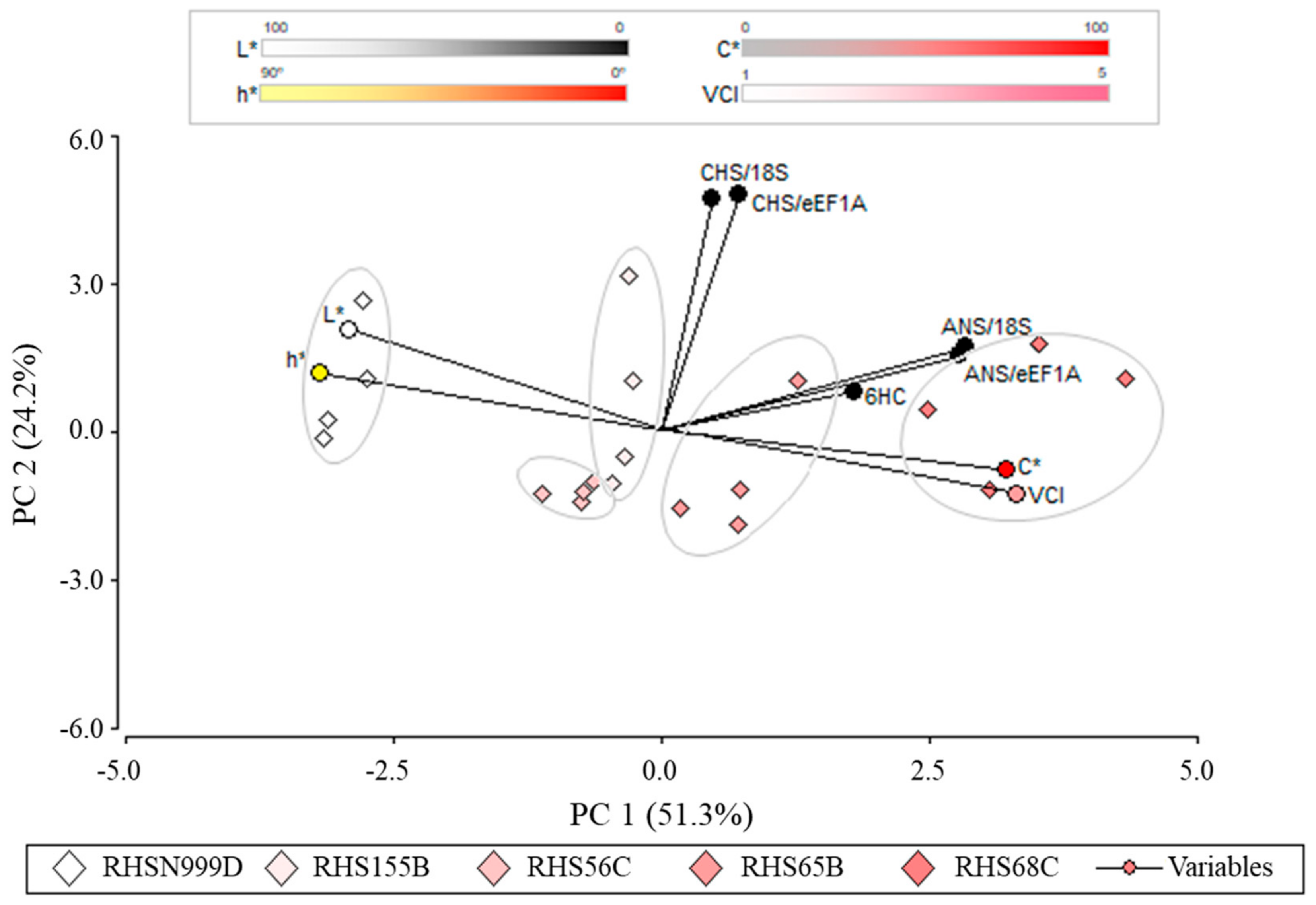 Plants 10 00055 g004