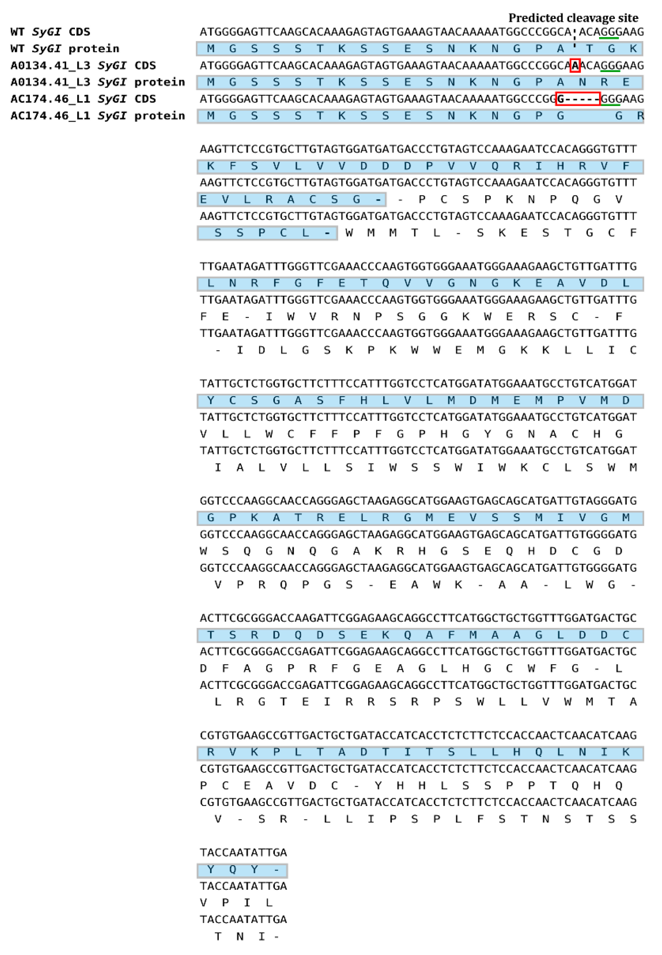 Plants 10 00062 g006