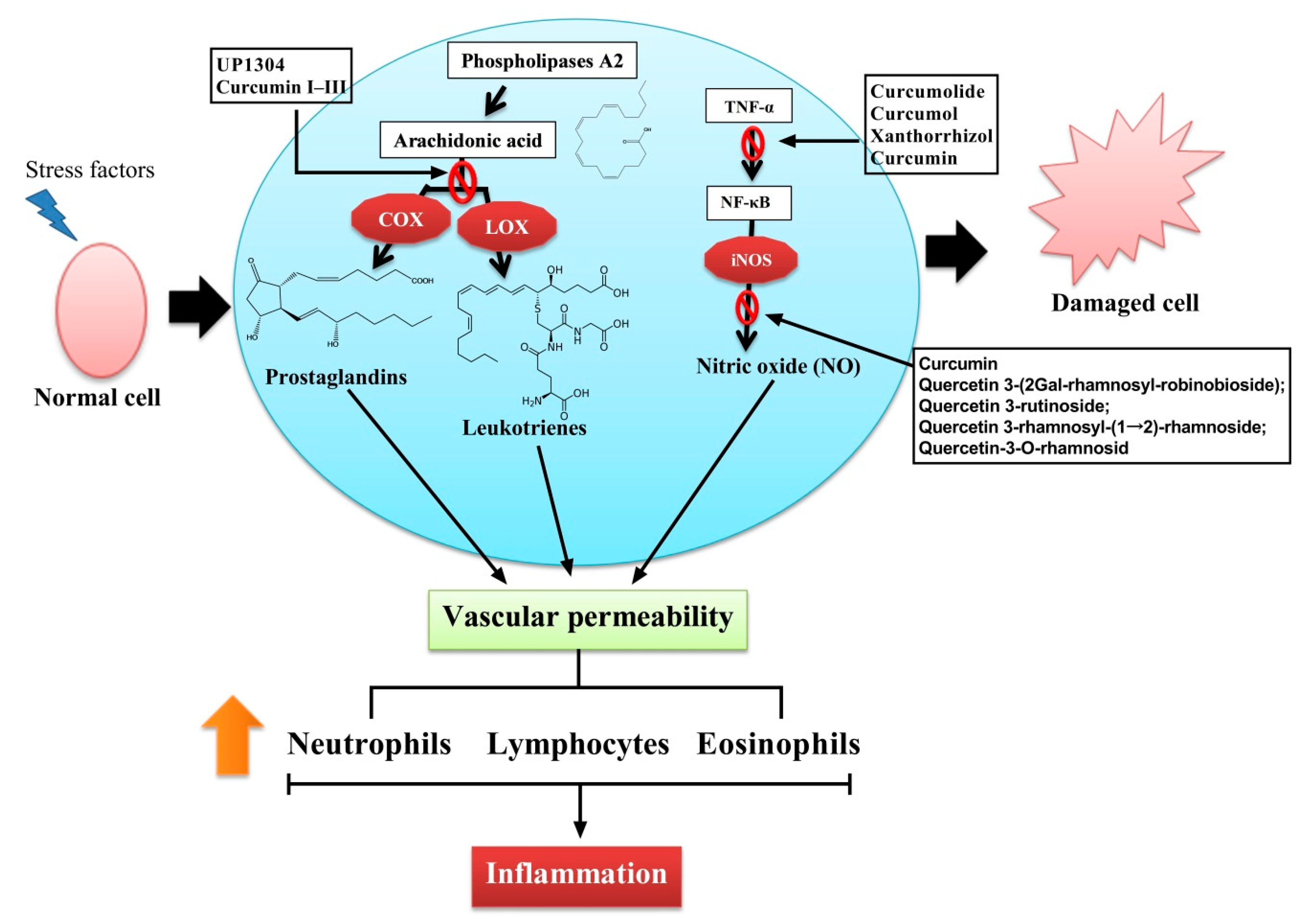 Plants 10 00063 g002 Plants 10 00063 g002