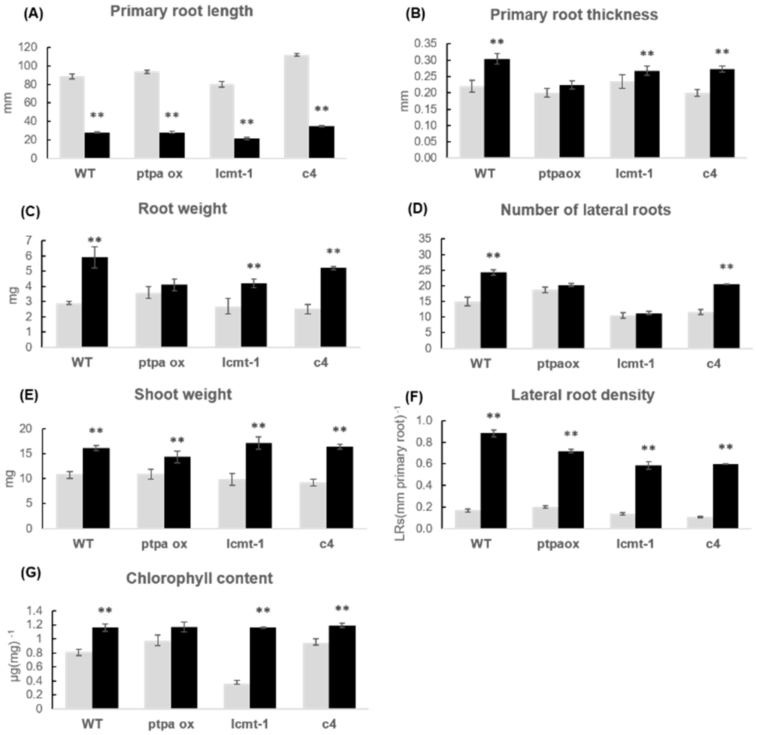 Plants 10 00066 g004 Plants 10 00066 g004