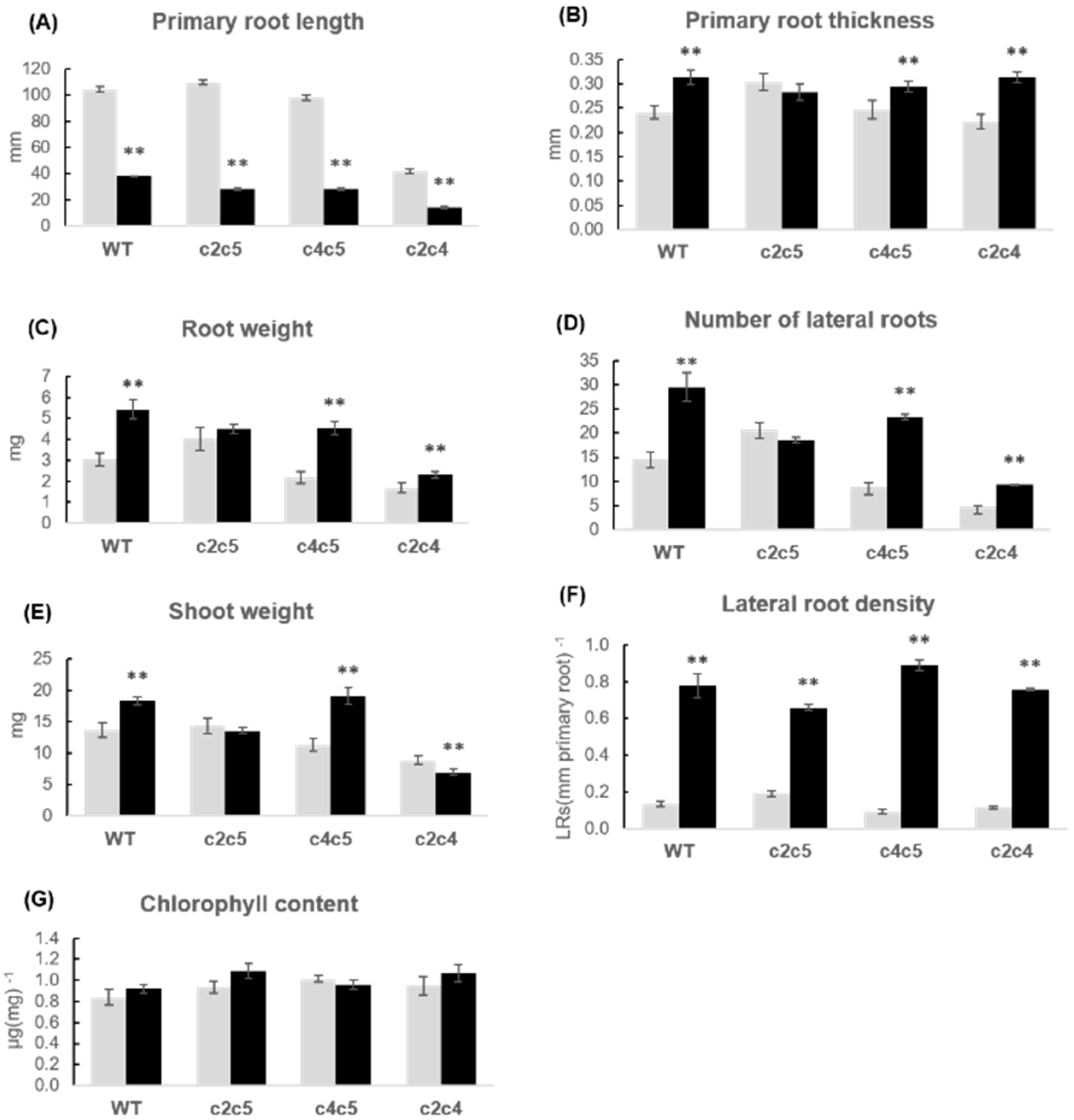 Plants 10 00066 g006 Plants 10 00066 g006