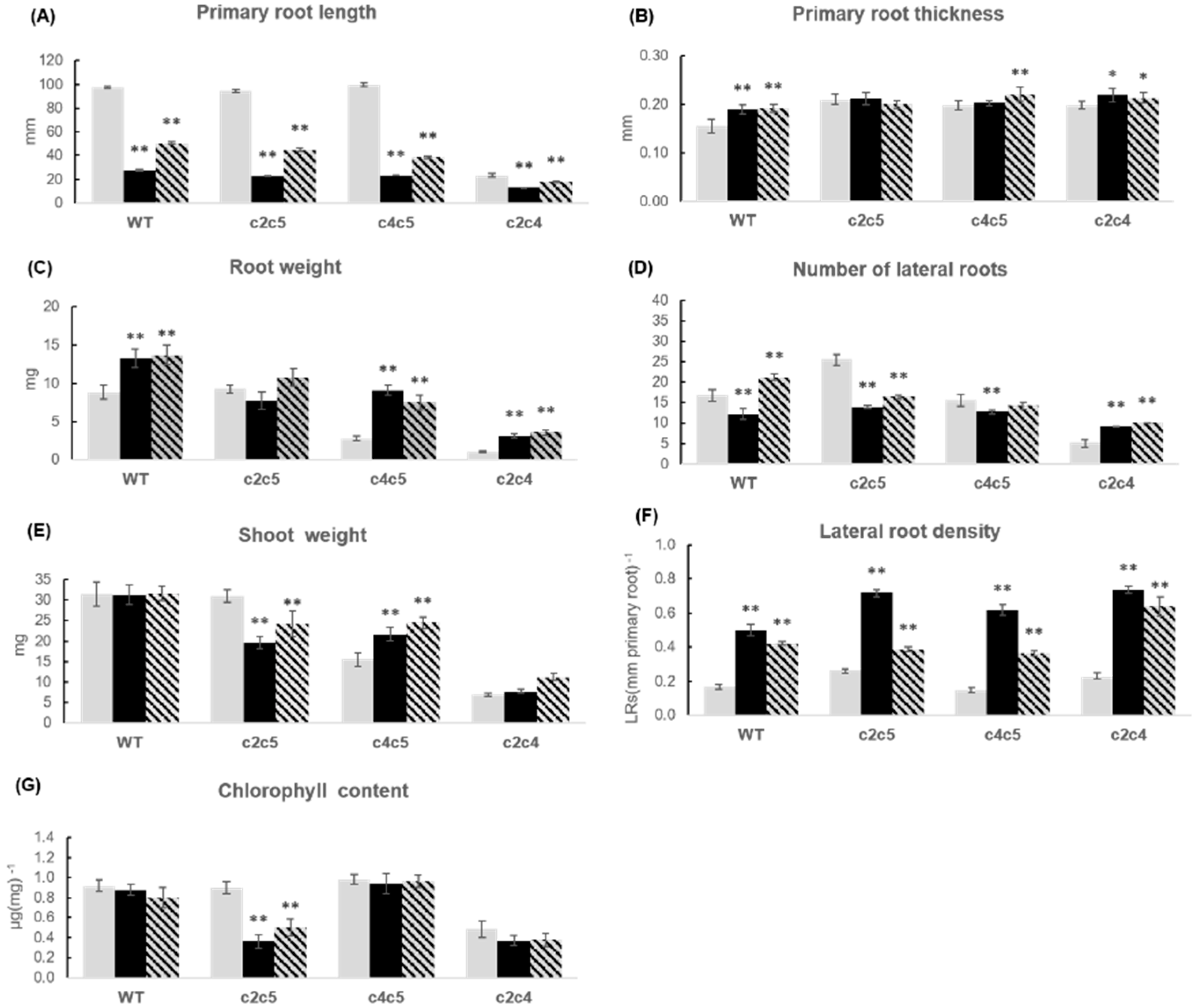 Plants 10 00066 g010 Plants 10 00066 g010