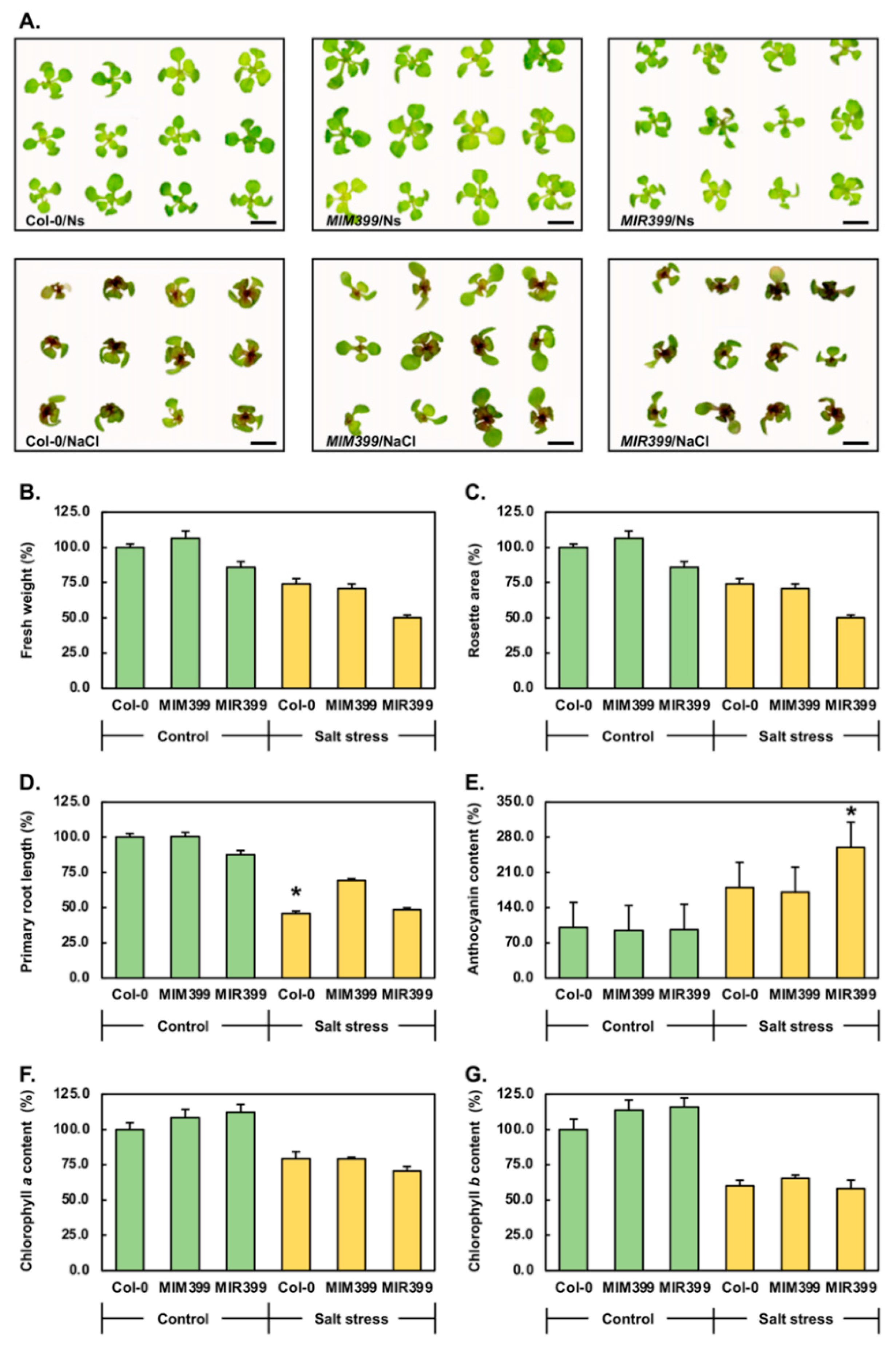 Plants 10 00073 g002 Plants 10 00073 g002