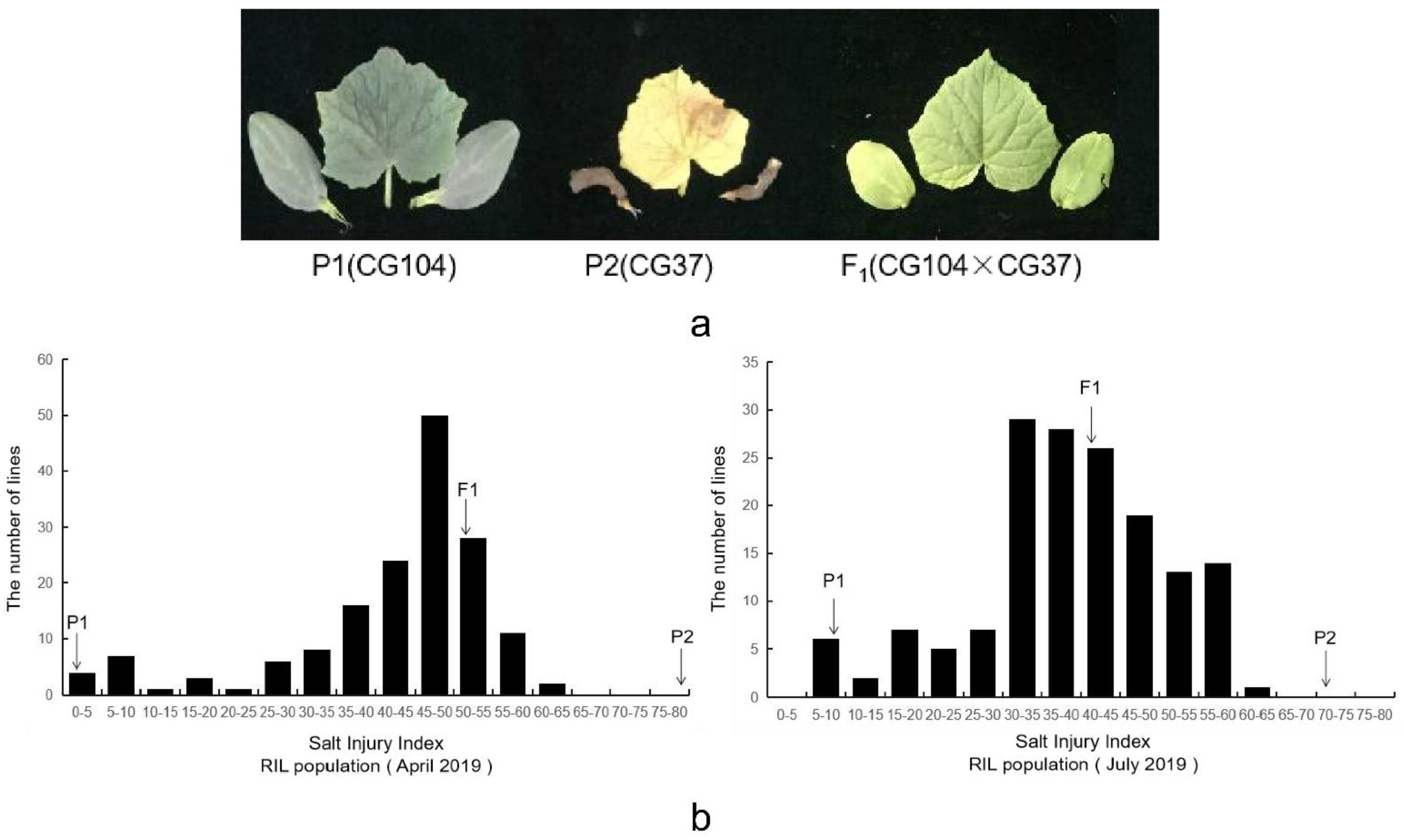 Plants 10 00085 g002 Plants 10 00085 g002