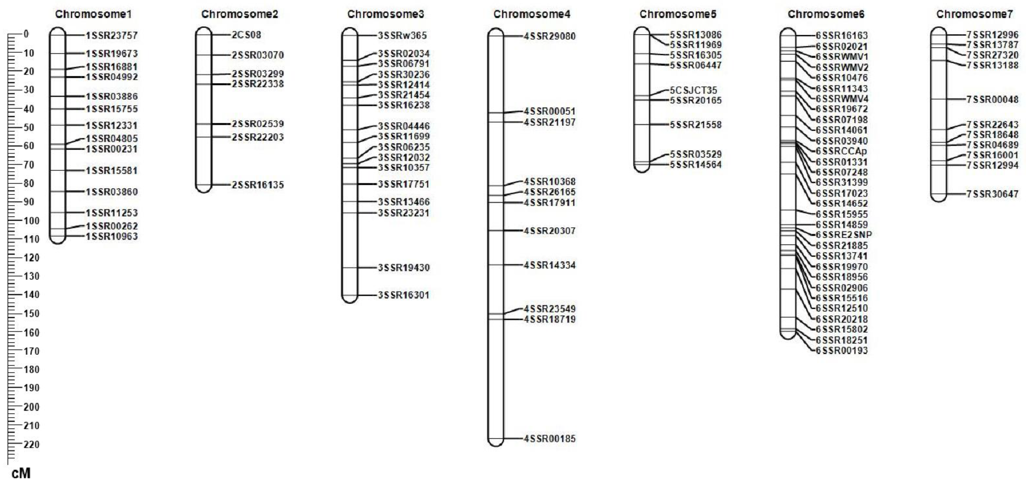 Plants 10 00085 g003 Plants 10 00085 g003