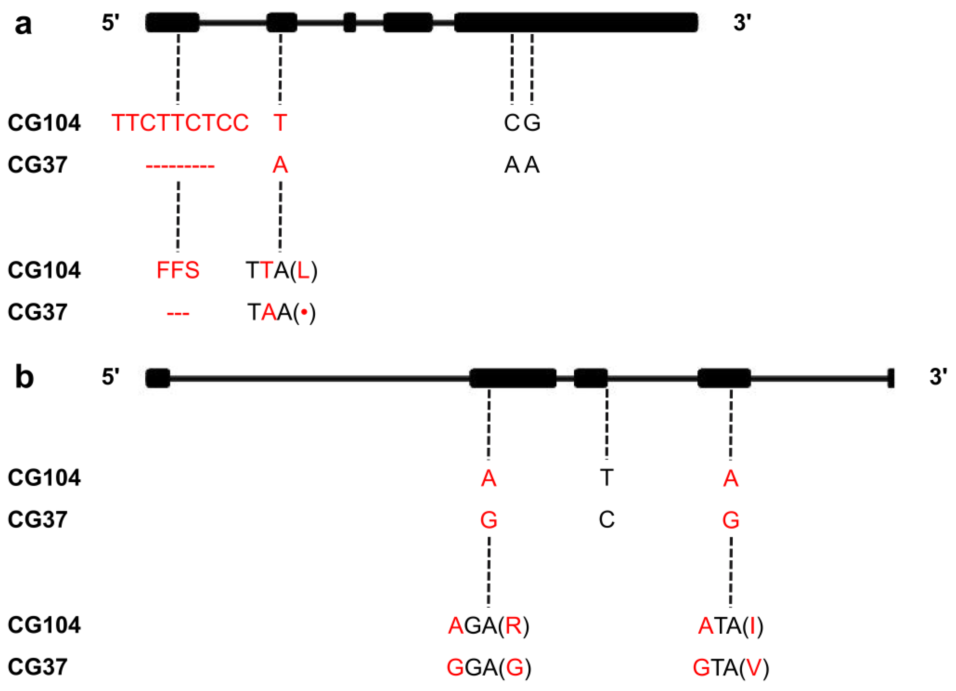 Plants 10 00085 g005 Plants 10 00085 g005