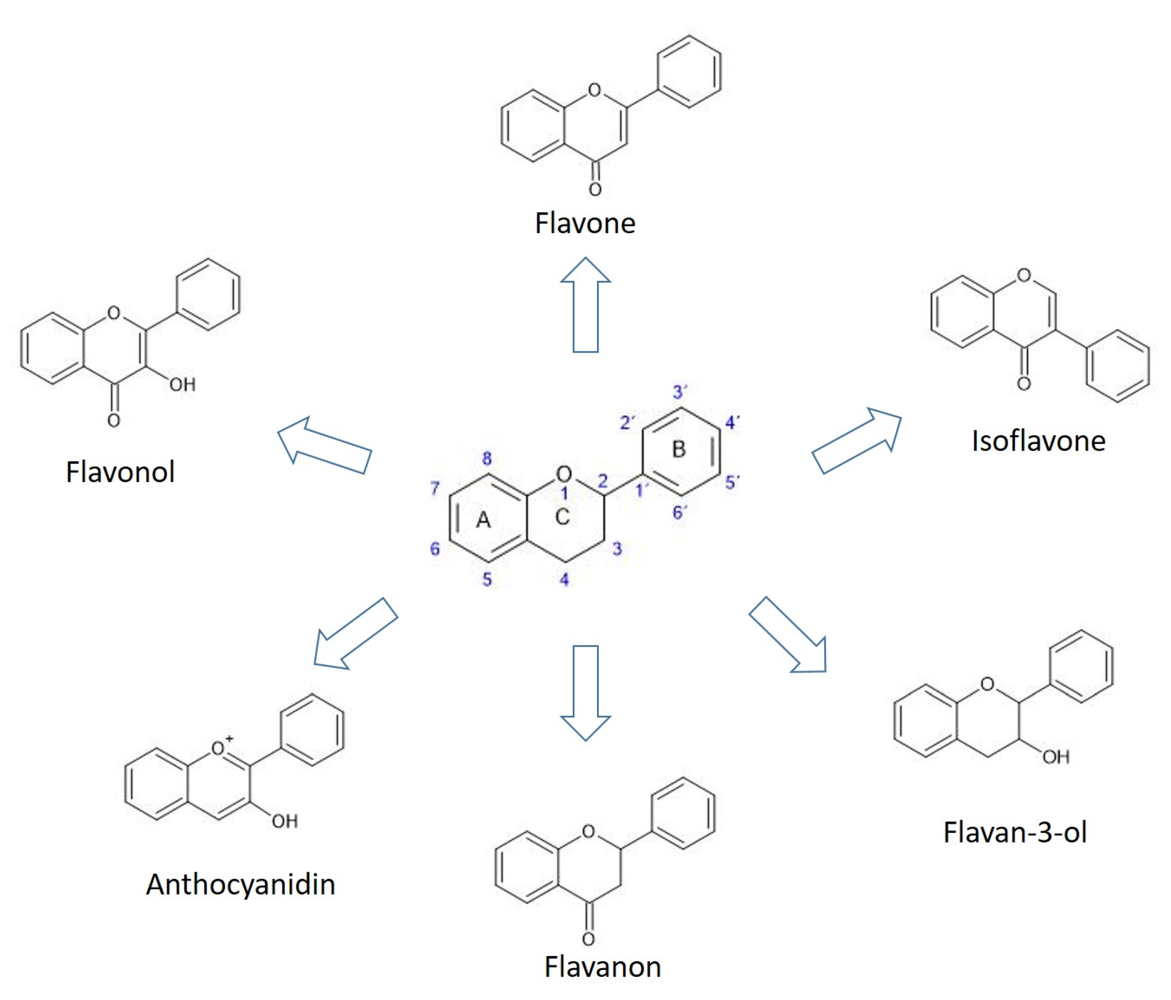 Plants 10 00118 g003