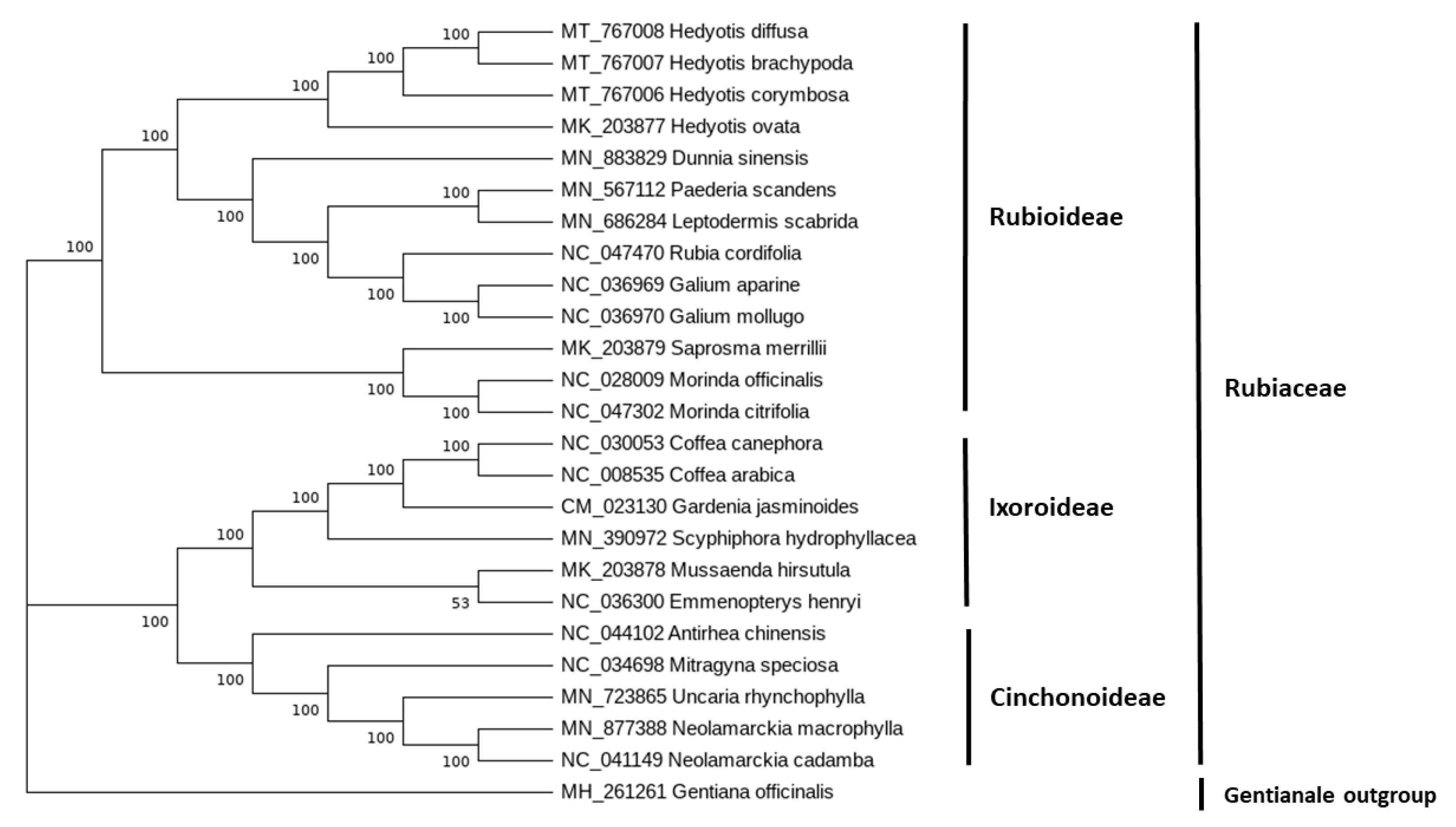 Plants 10 00161 g005 Plants 10 00161 g005