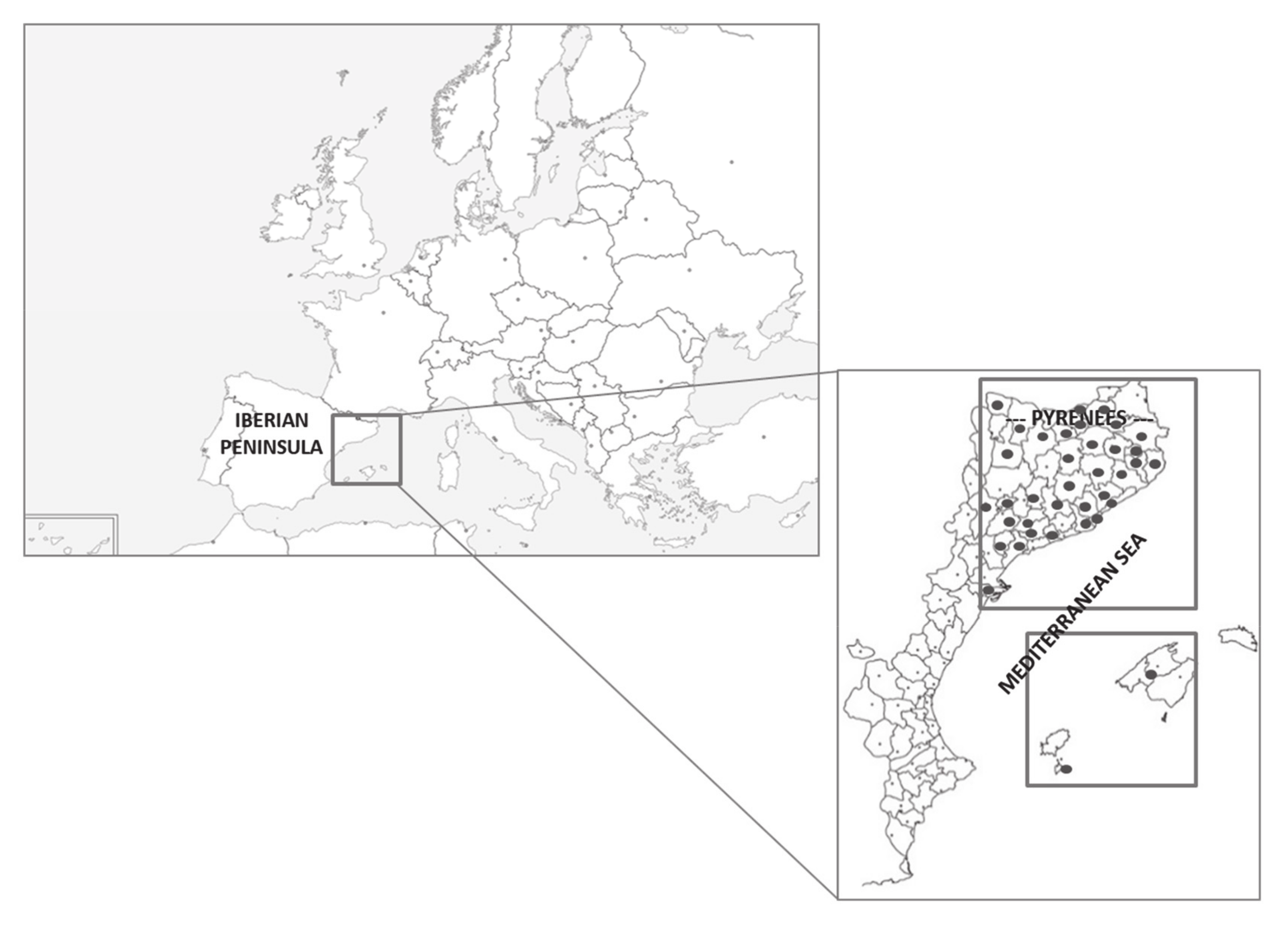 Plants 10 00163 g003 Plants 10 00163 g003