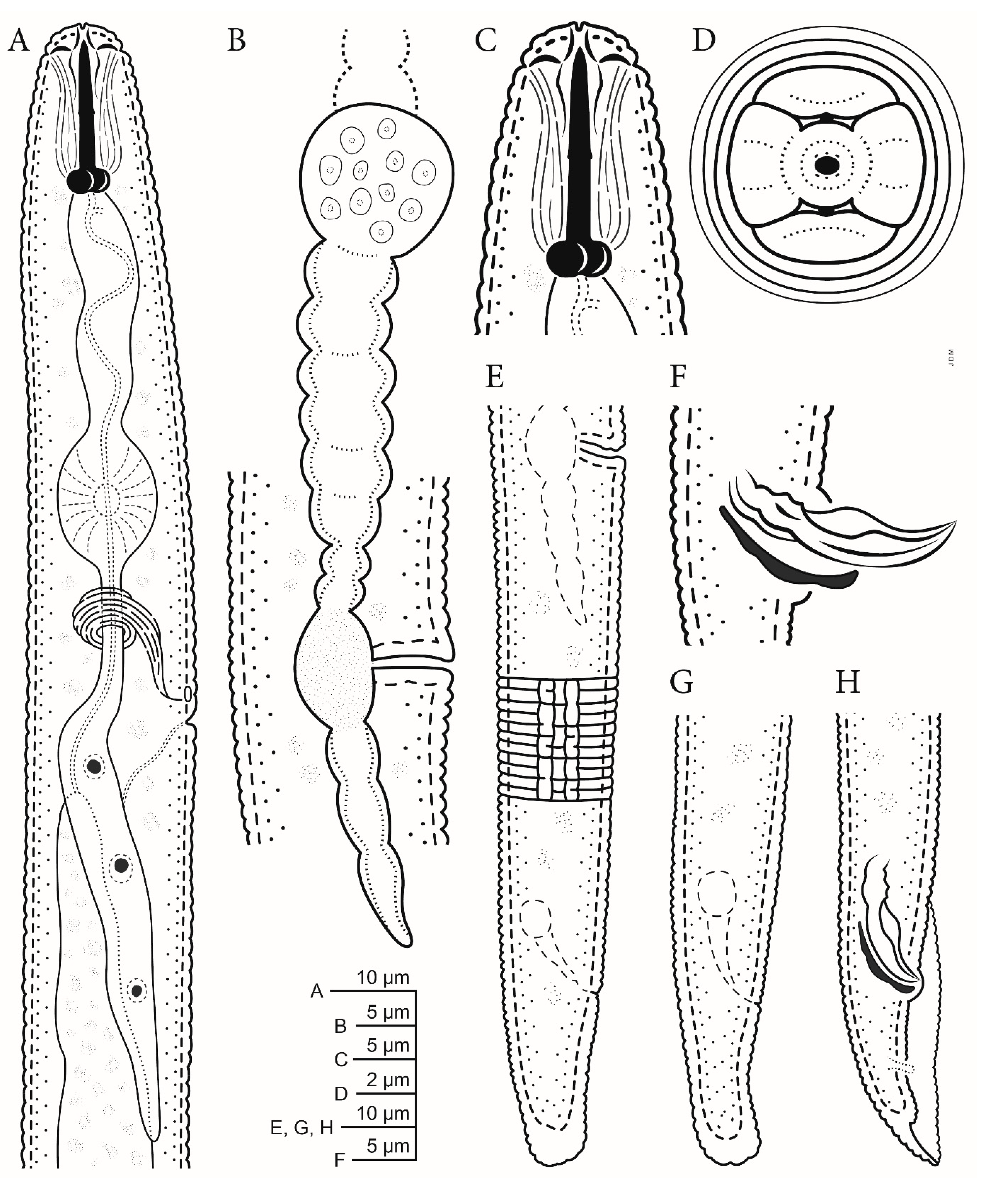 Plants 10 00168 g001