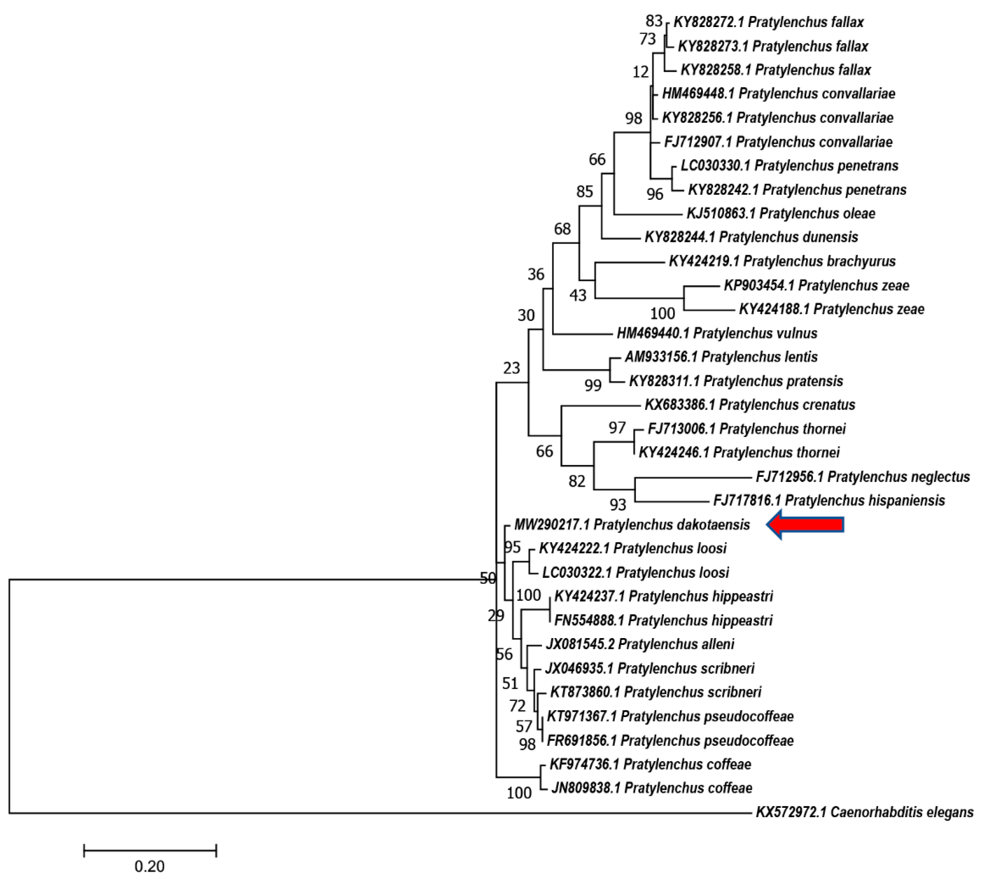 Plants 10 00168 g005