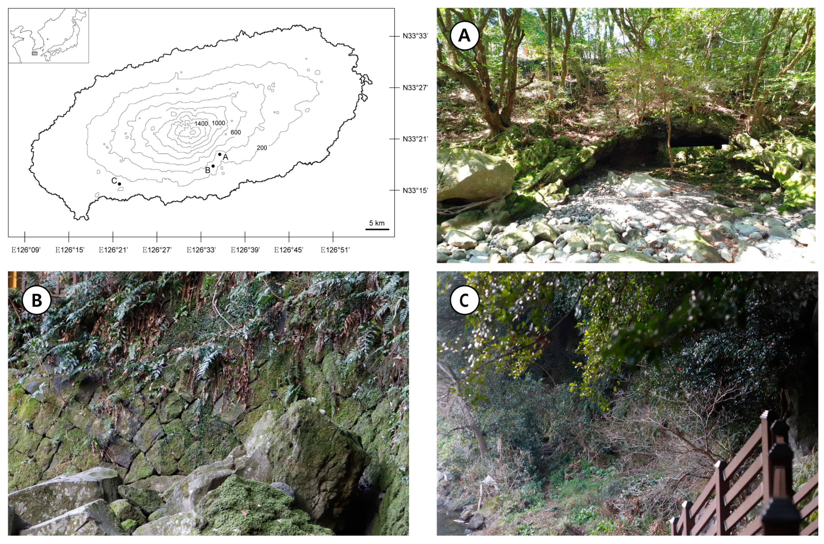 Plants 10 00170 g001