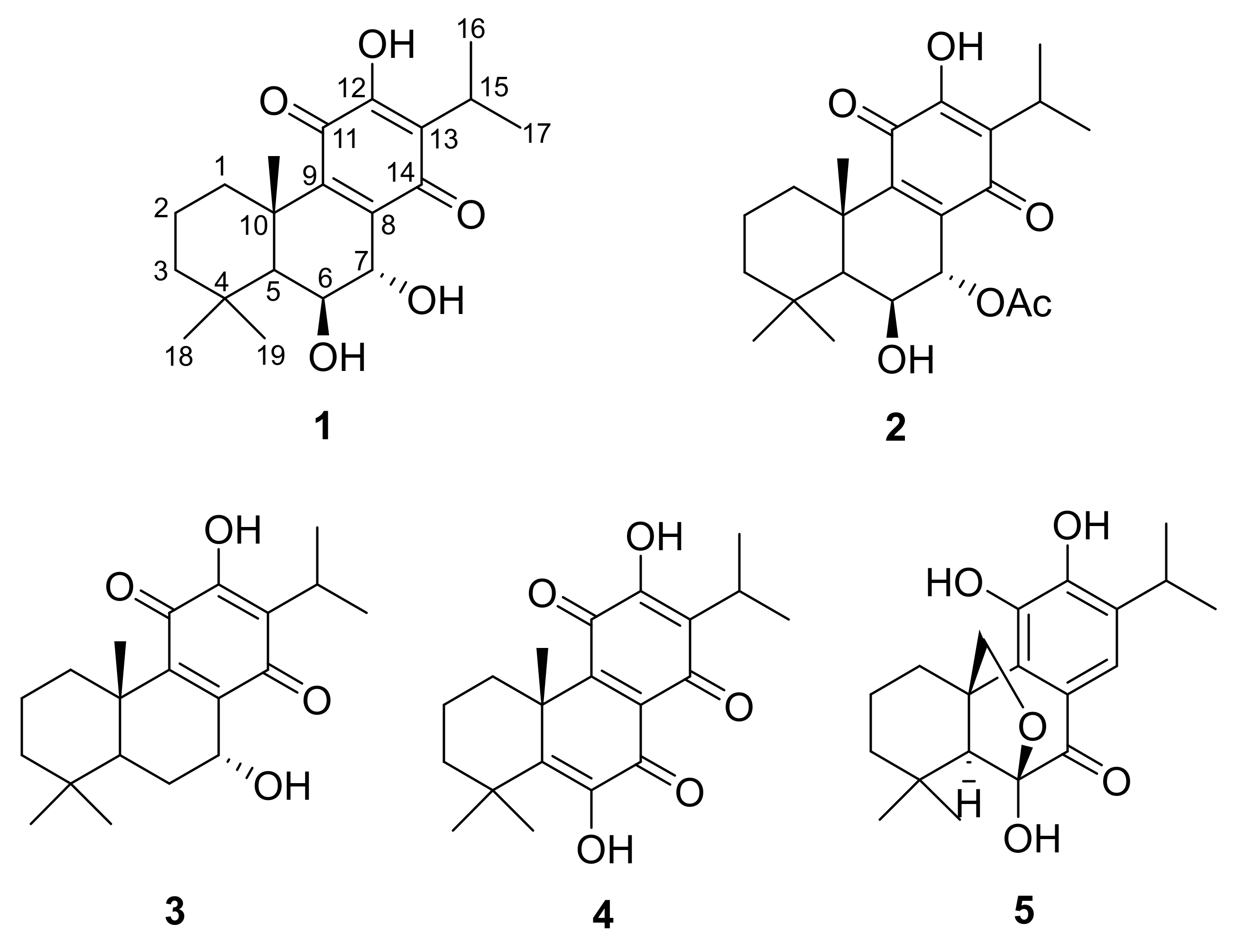 Plants 10 00175 g001