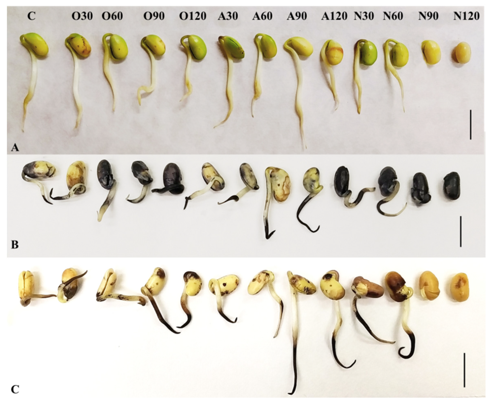 Plants 10 00177 g003