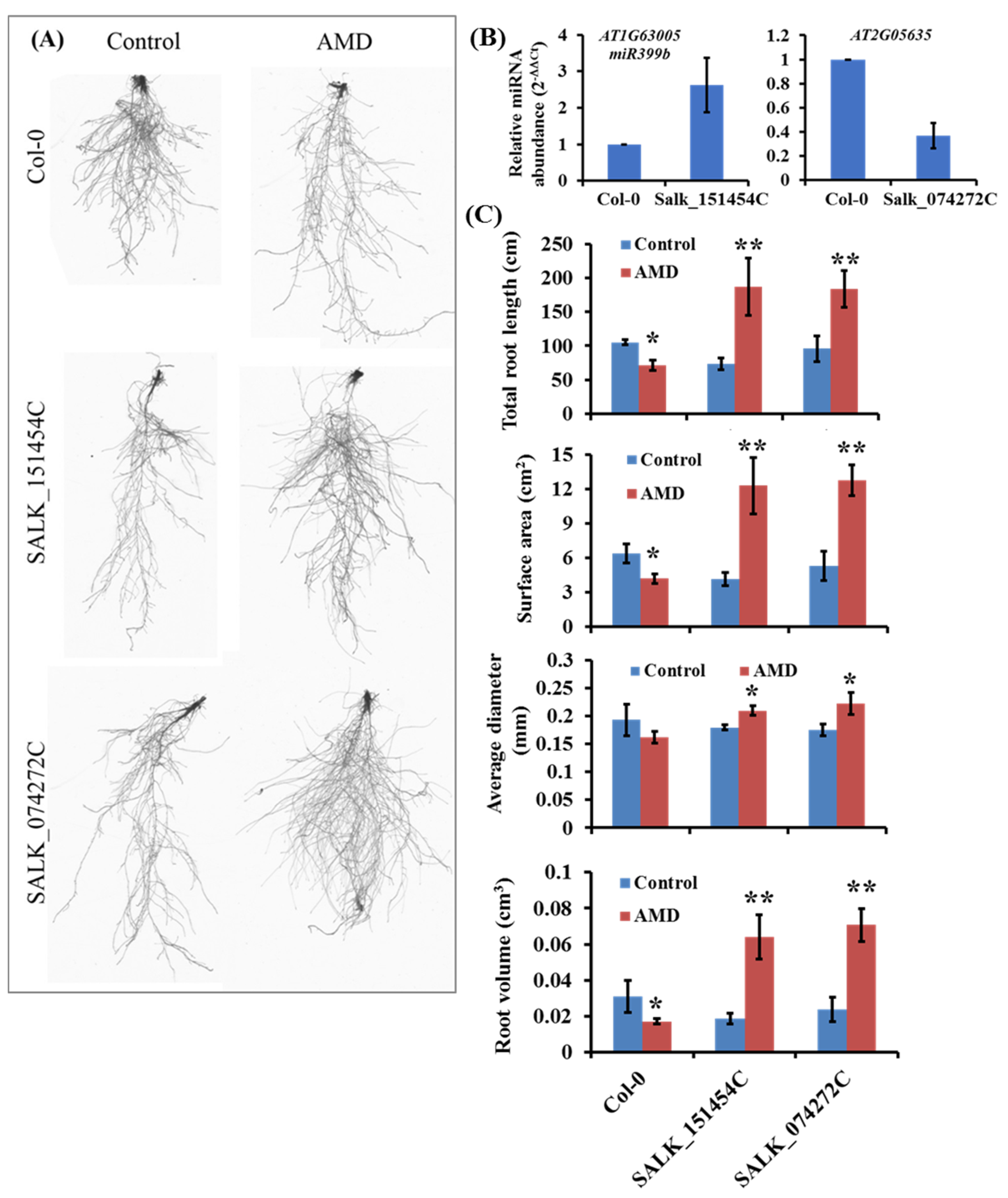 Plants 10 00191 g003