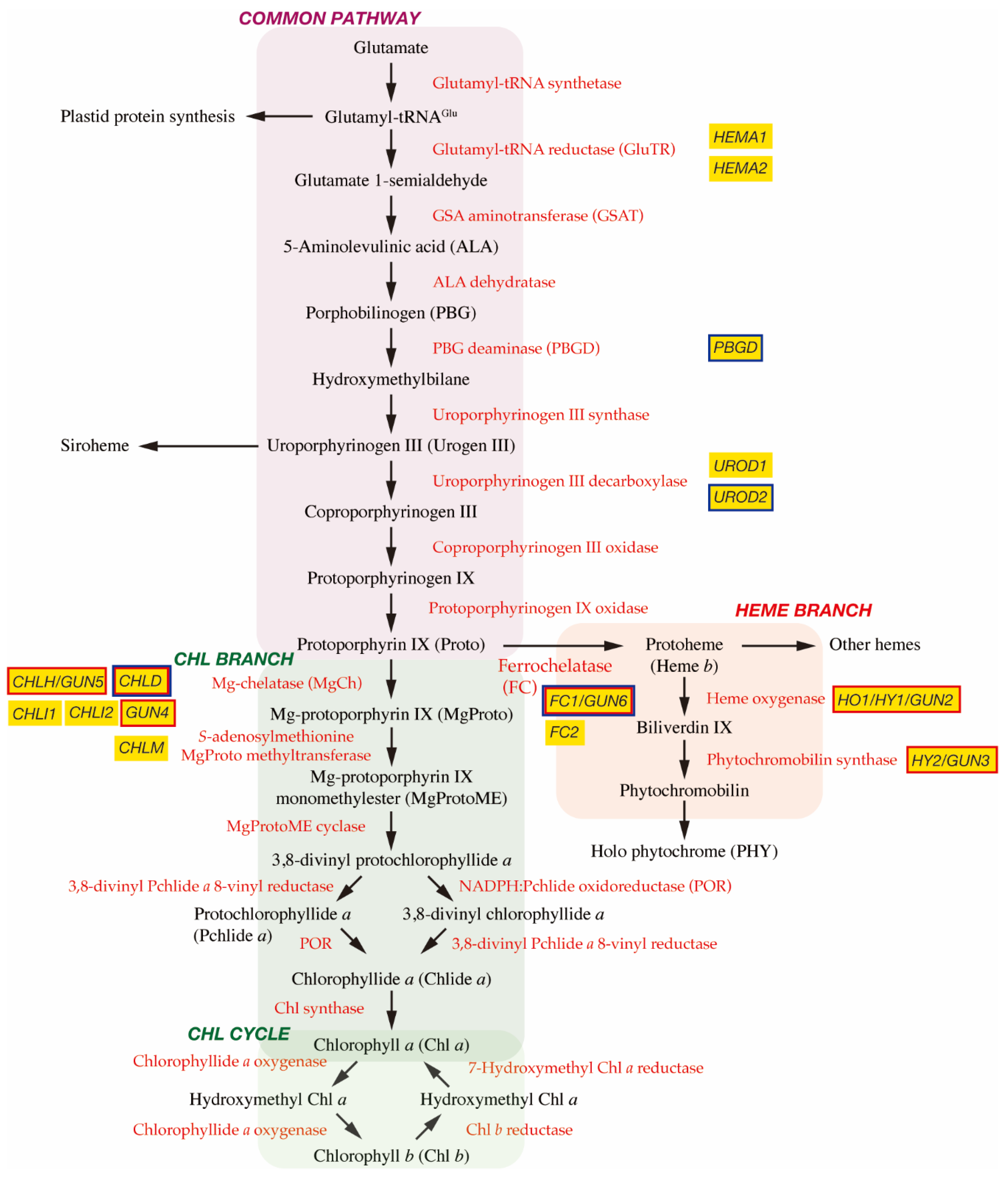 Plants 10 00196 g001 Plants 10 00196 g001