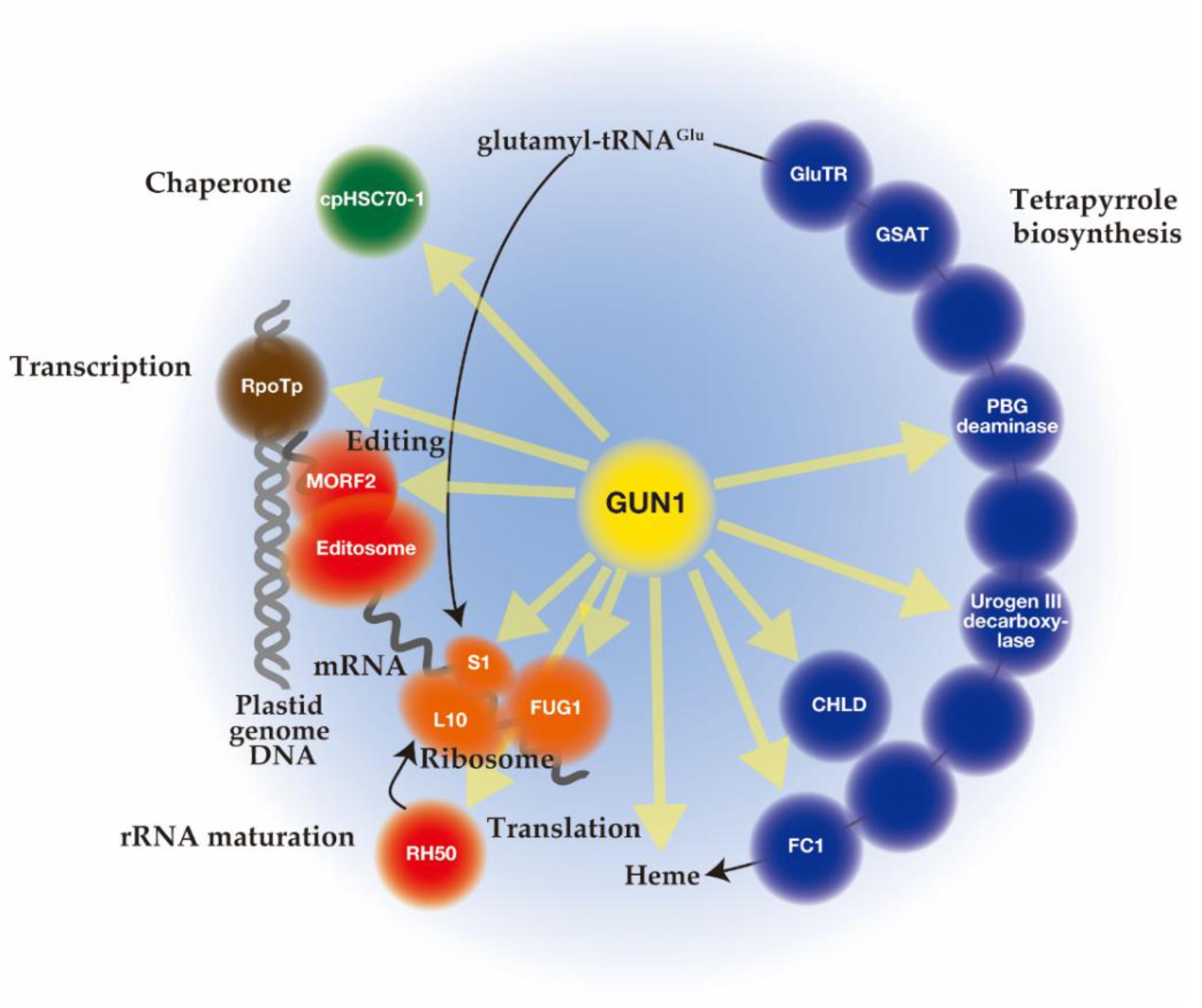 Plants 10 00196 g002 Plants 10 00196 g002