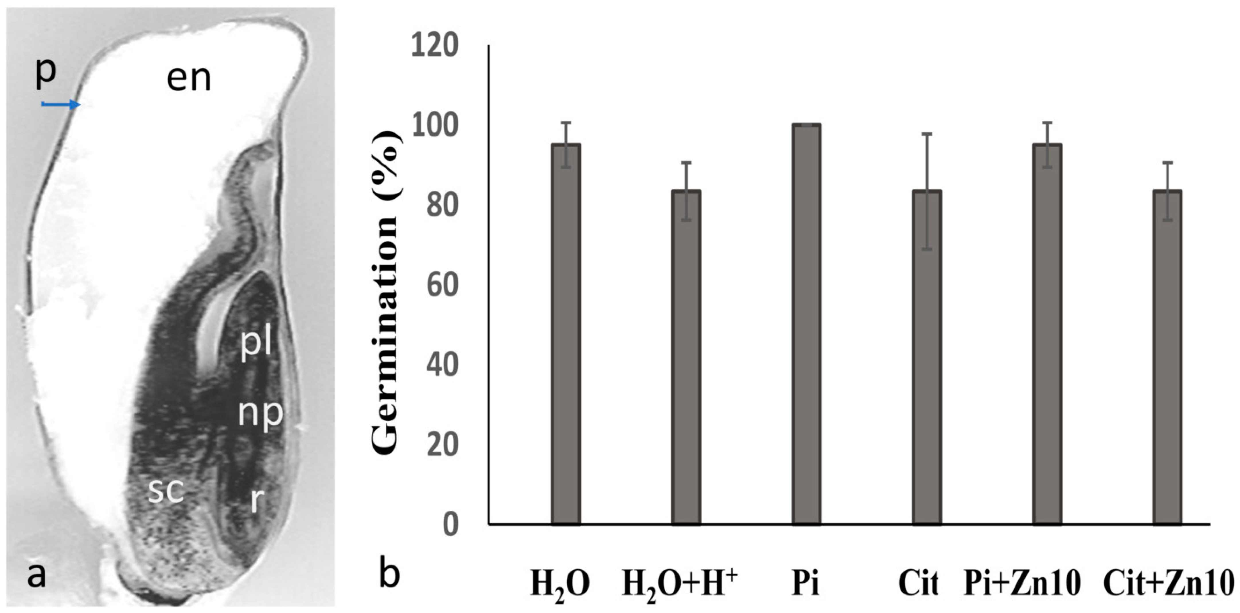 Plants 10 00197 g001