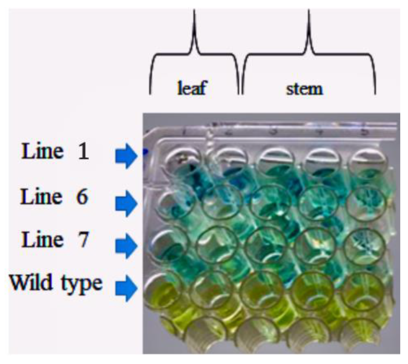 Plants 10 00198 g006