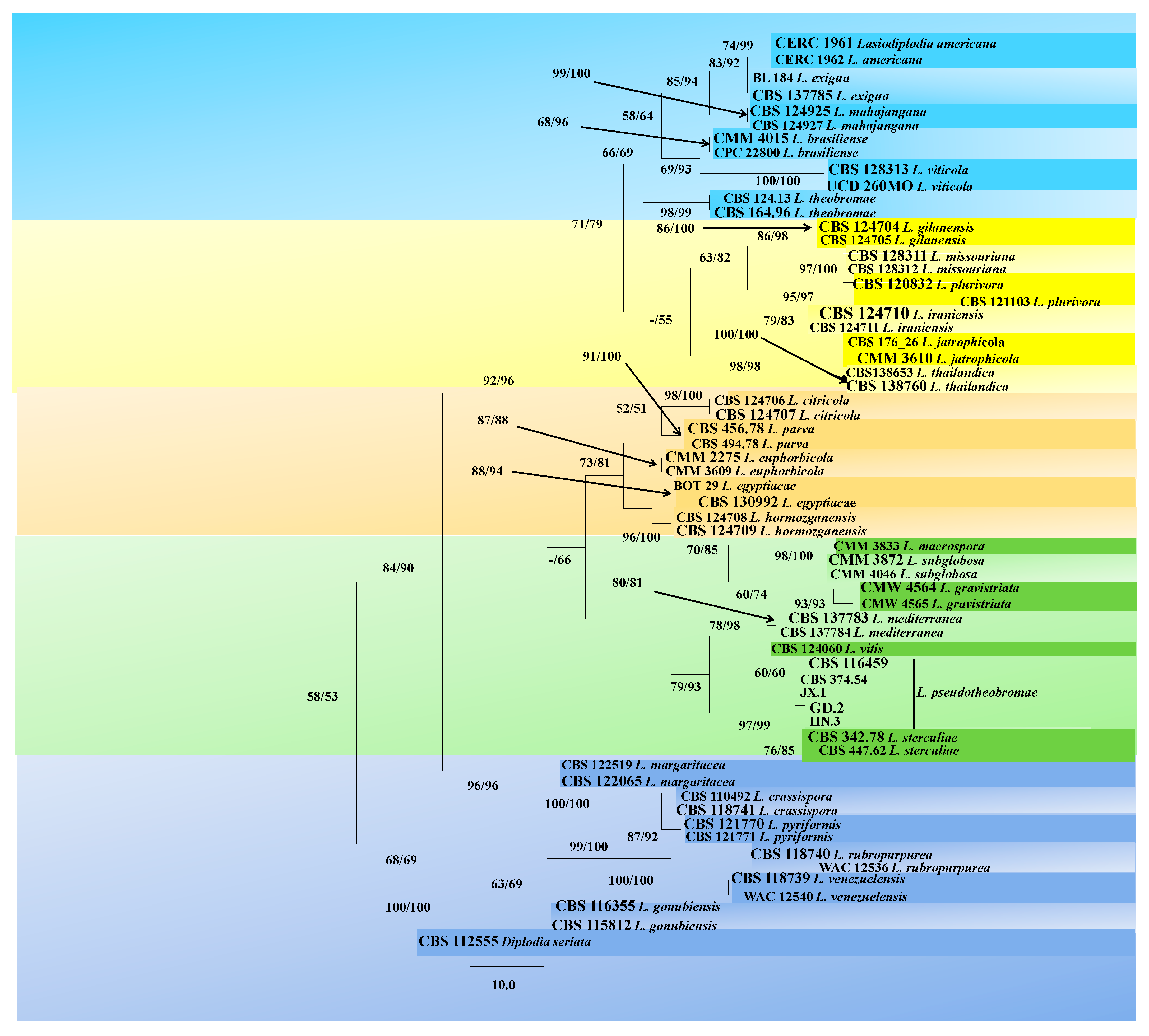 Plants 10 00202 g002