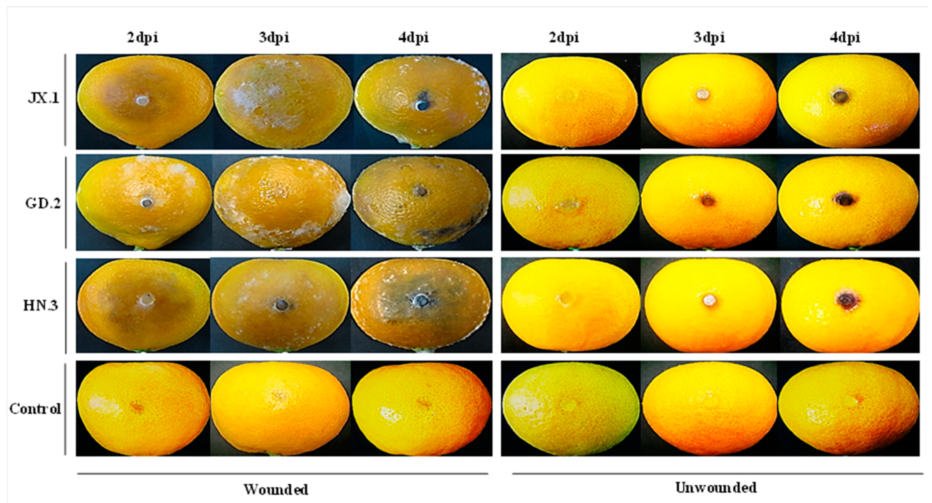 Plants 10 00202 g004