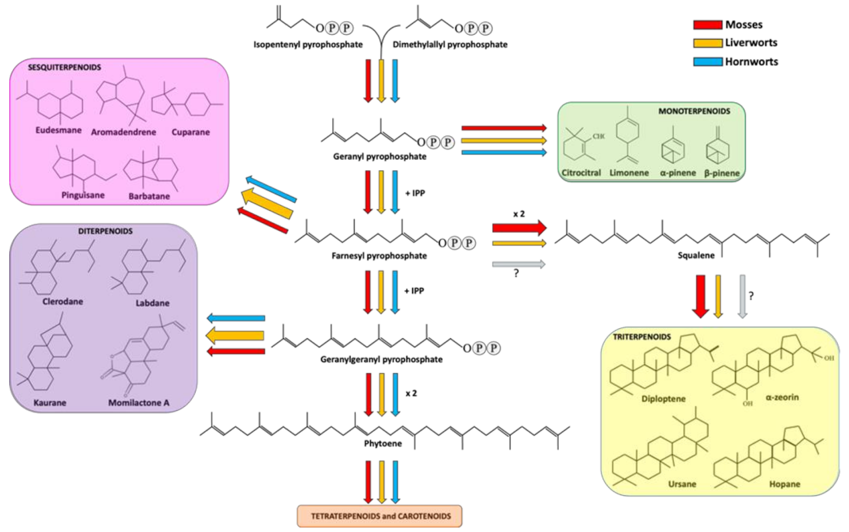 Plants 10 00203 g001