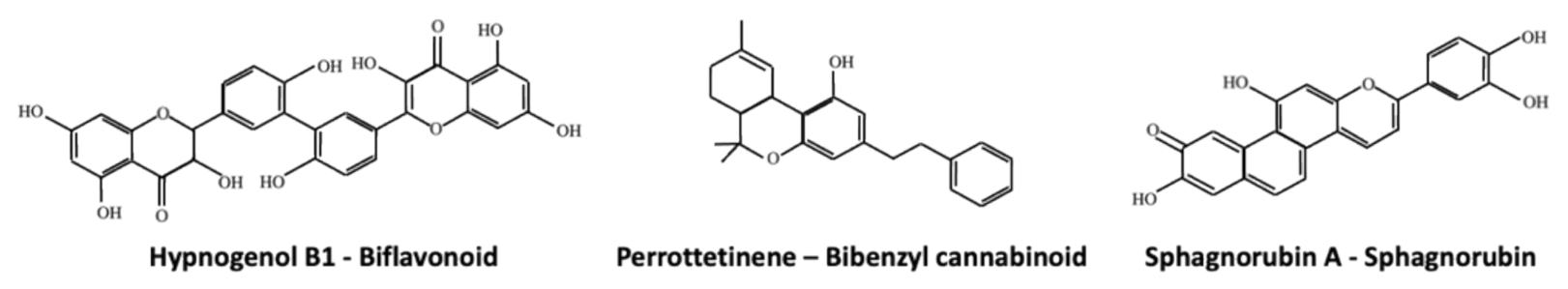 Plants 10 00203 g003