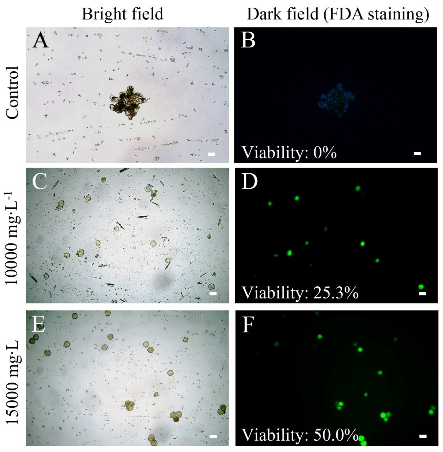 Plants 10 00209 g005